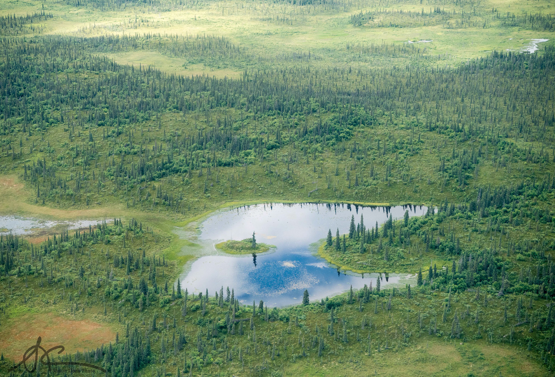 Brooks Falls, Alaska - July 2018