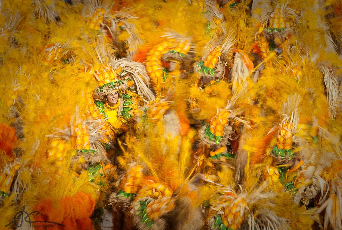 Rio De Janeiro, Brazil - February 2012 - Carnival