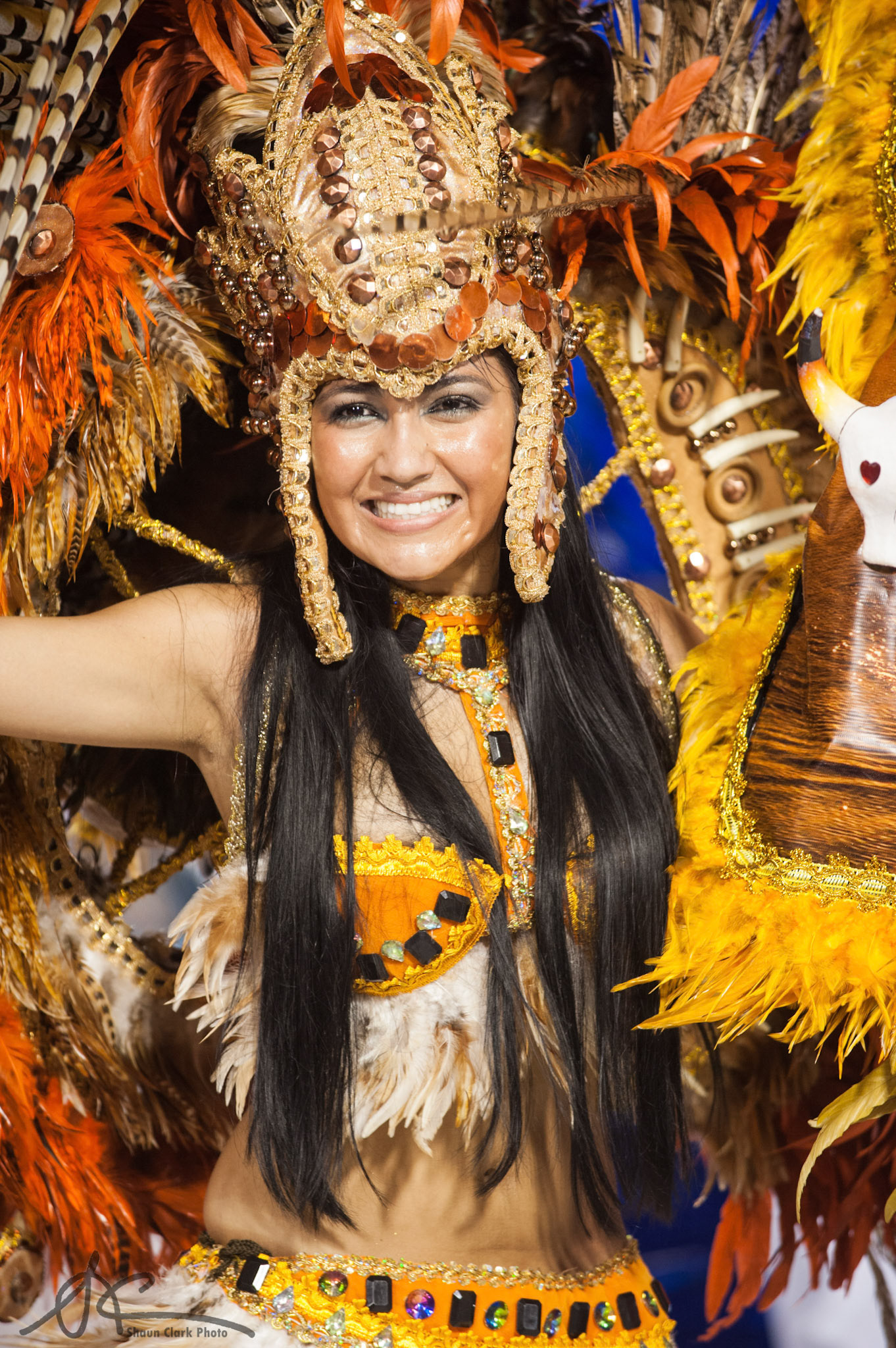 Rio De Janeiro, Brazil - February 2012 - Carnival