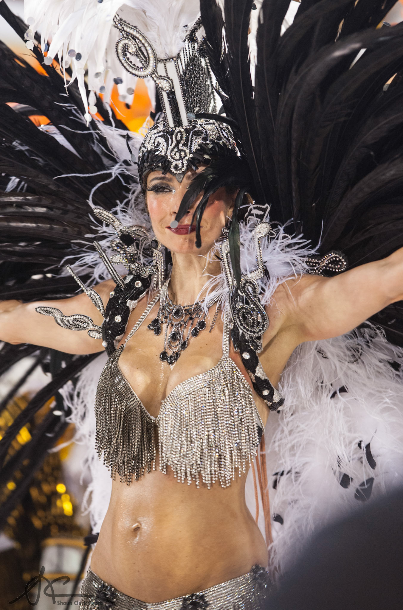 Rio De Janeiro, Brazil - February 2012 - Carnival