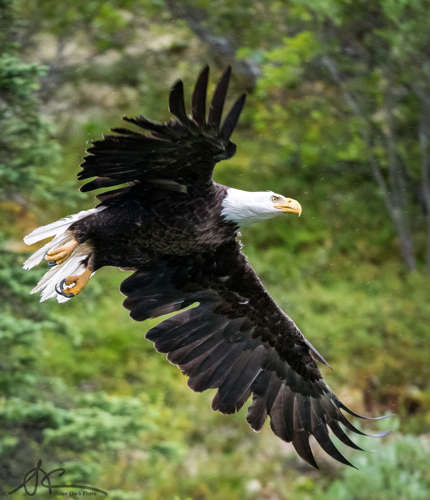 King Salmon, Alaska - July 2018