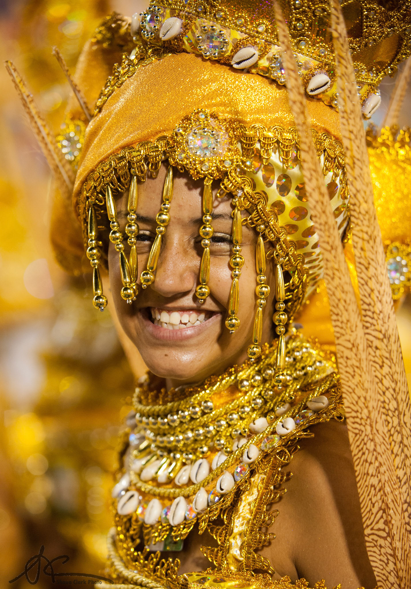 Rio De Janeiro, Brazil - February 2012 - Carnival