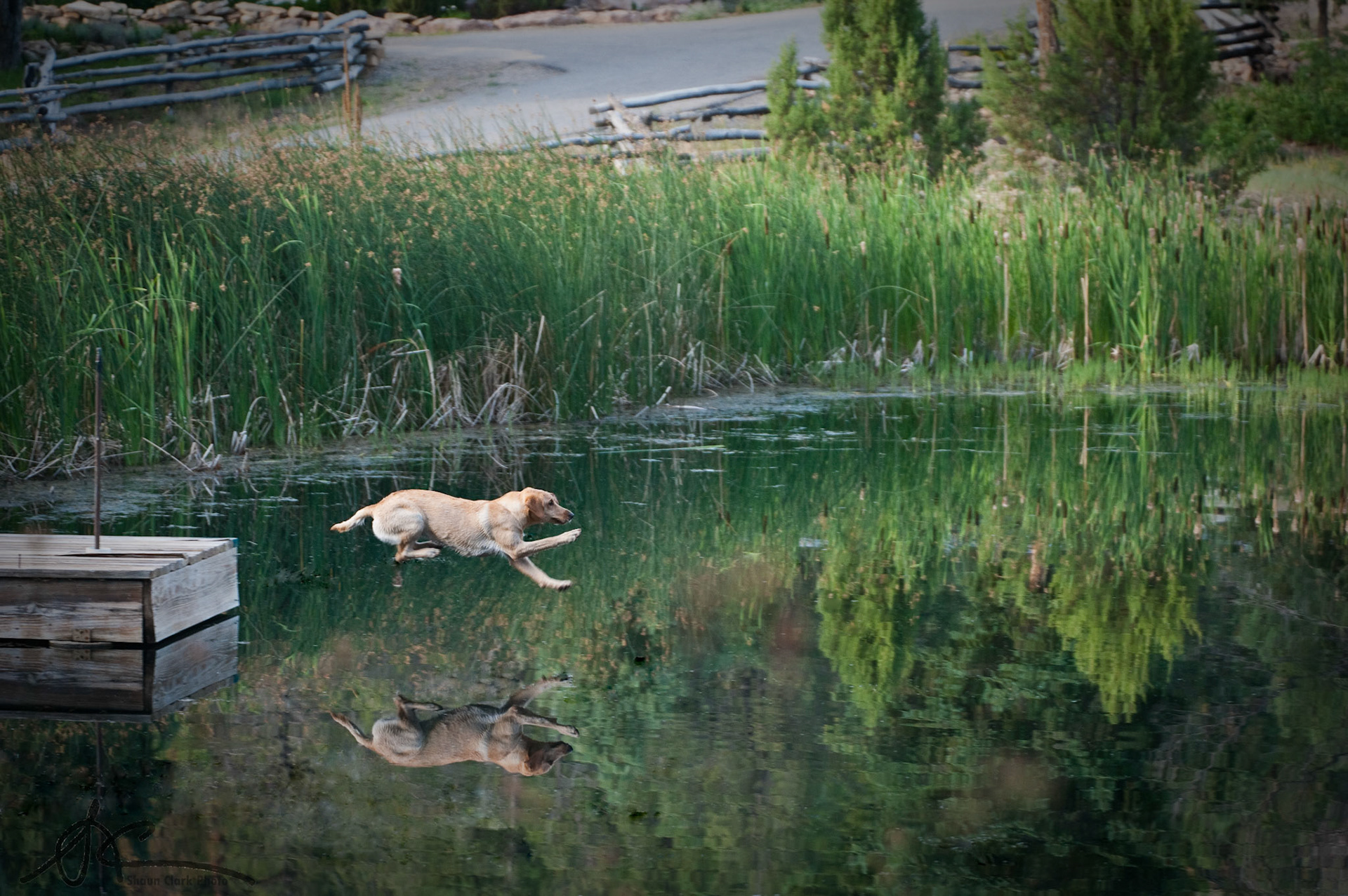 Ember at the Lake - Durango, Colorado -- July 2010
