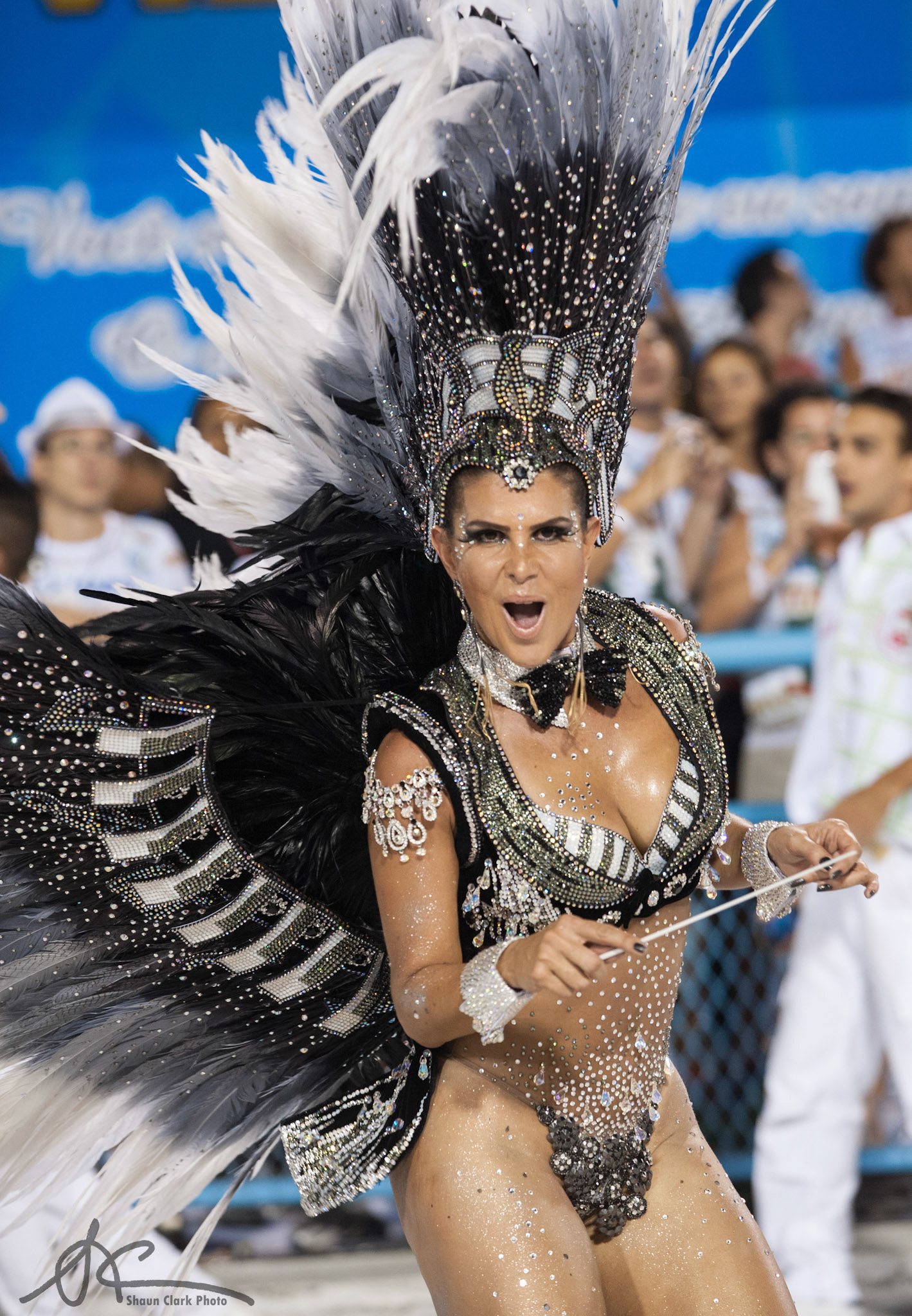 Rio De Janeiro, Brazil - February 2012 - Carnival