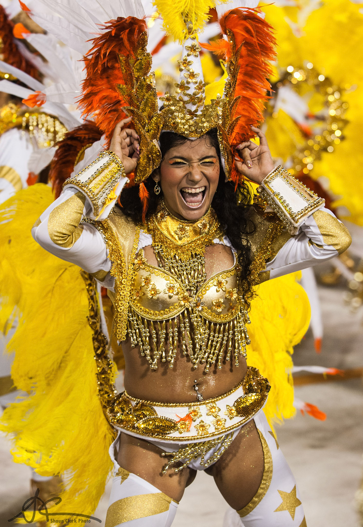 Rio De Janeiro, Brazil - February 2012 - Carnival