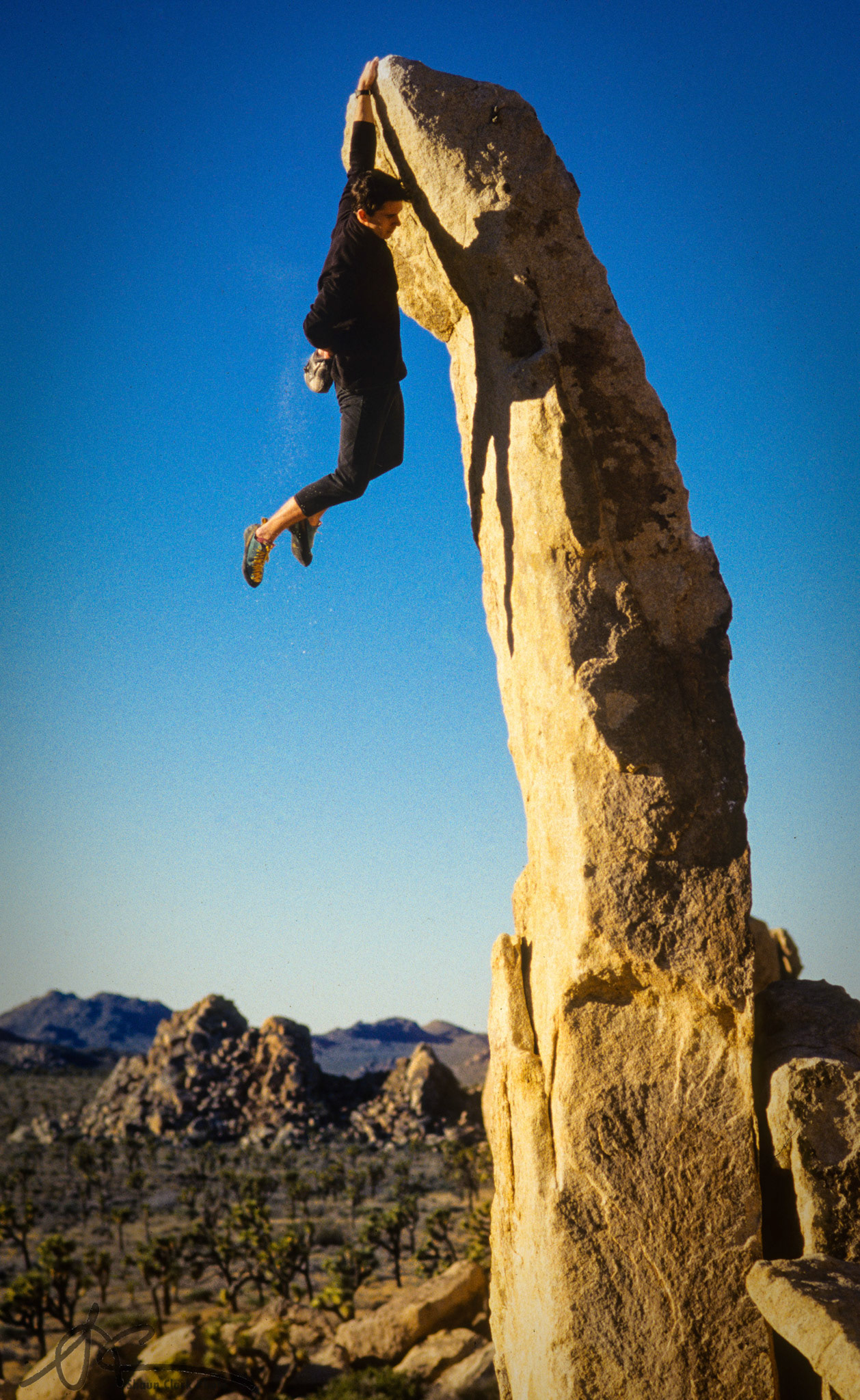 Aguille de Joshua Tree - 5.6x