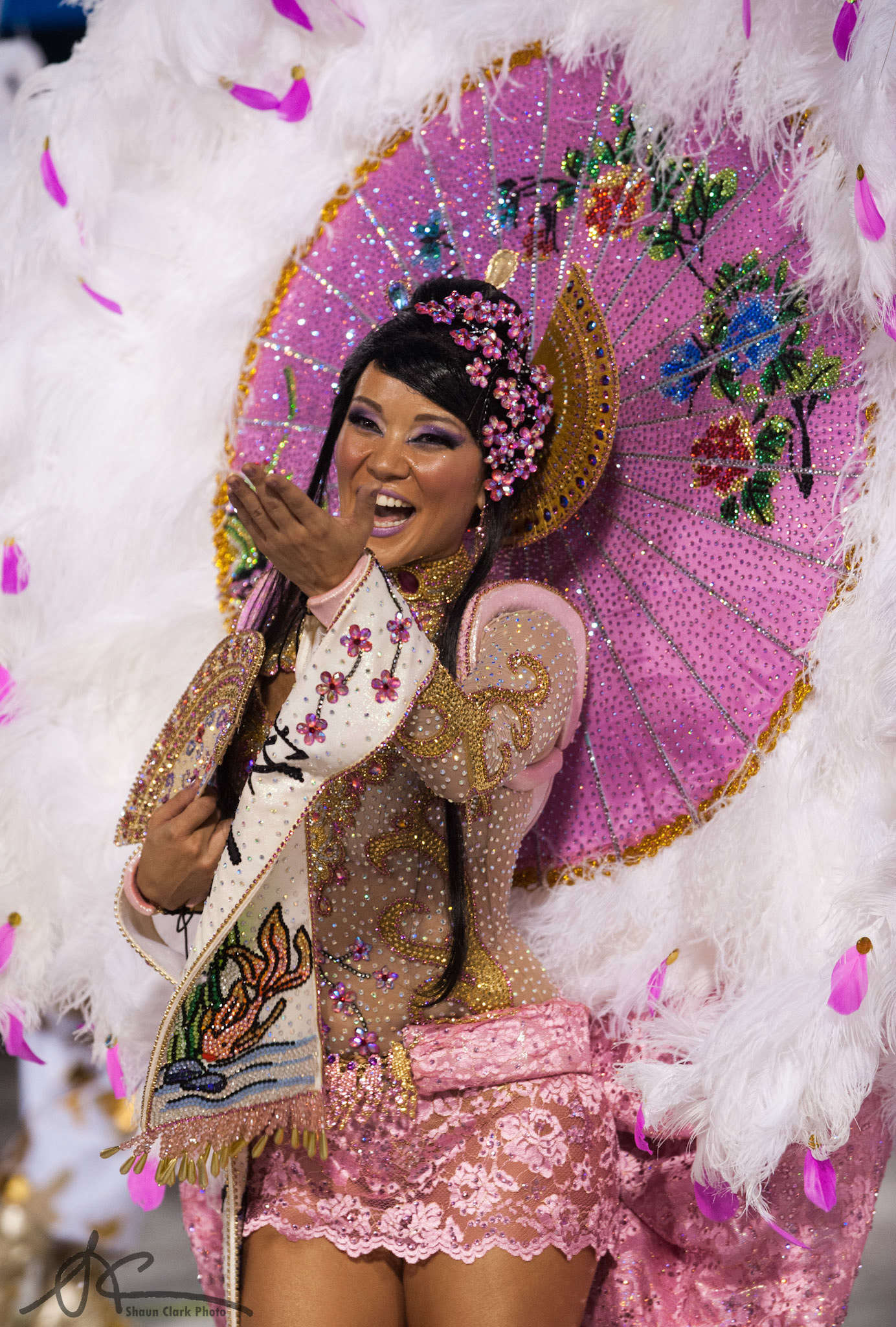 Rio De Janeiro, Brazil - February 2012 - Carnival