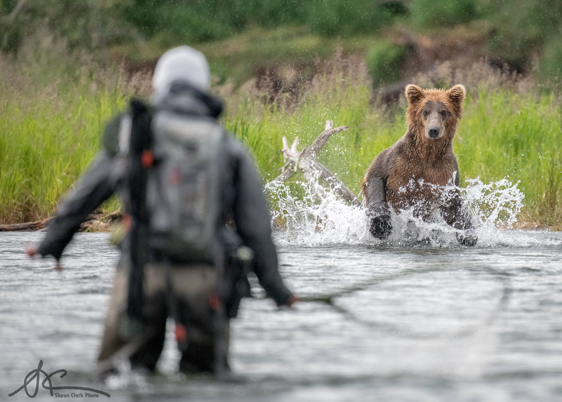 Brooks Falls, Alaska - July 2018