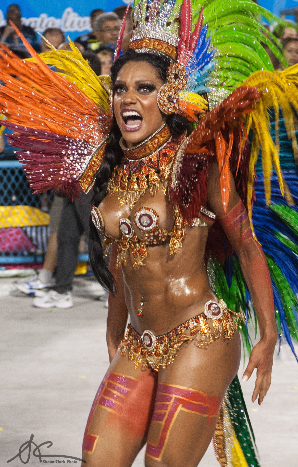 Rio De Janeiro, Brazil - February 2012 - Carnival