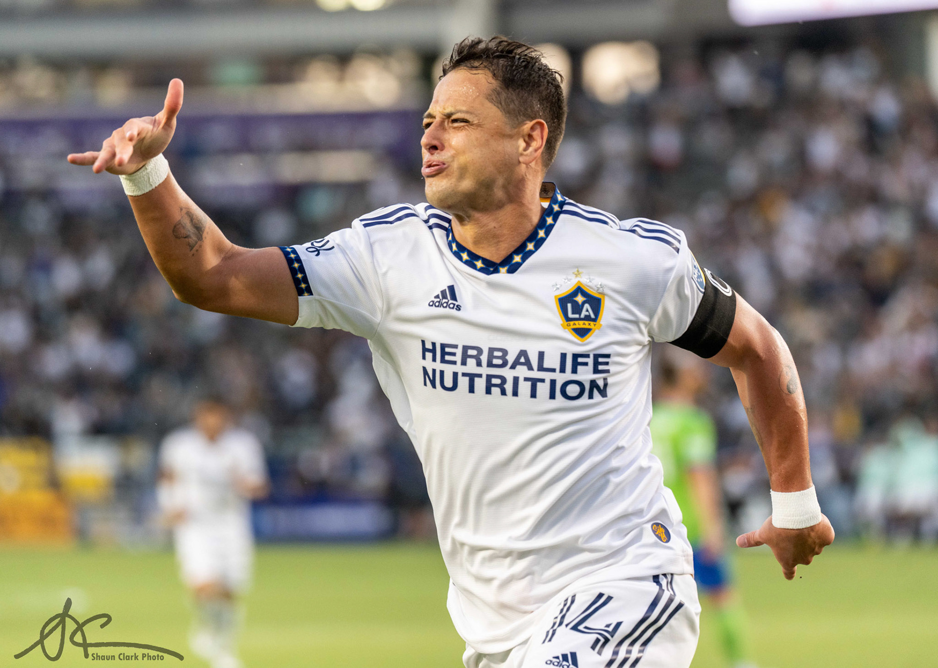 CARSON, CA - AUGUST 19: Javier Hernández #14 of Los Angeles Galaxy celebrates his goal during the match against Seattle Sounders at the Dignity Health Sports Park on August 19, 2022 in Carson, California.  The match ended in a 3-3 tie. (Photo by Shaun Clark/Getty Images) *** Local Caption *** Javier Hernández