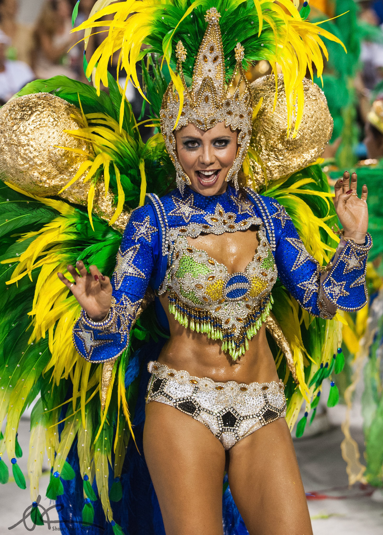 Rio De Janeiro, Brazil - February 2012 - Carnival