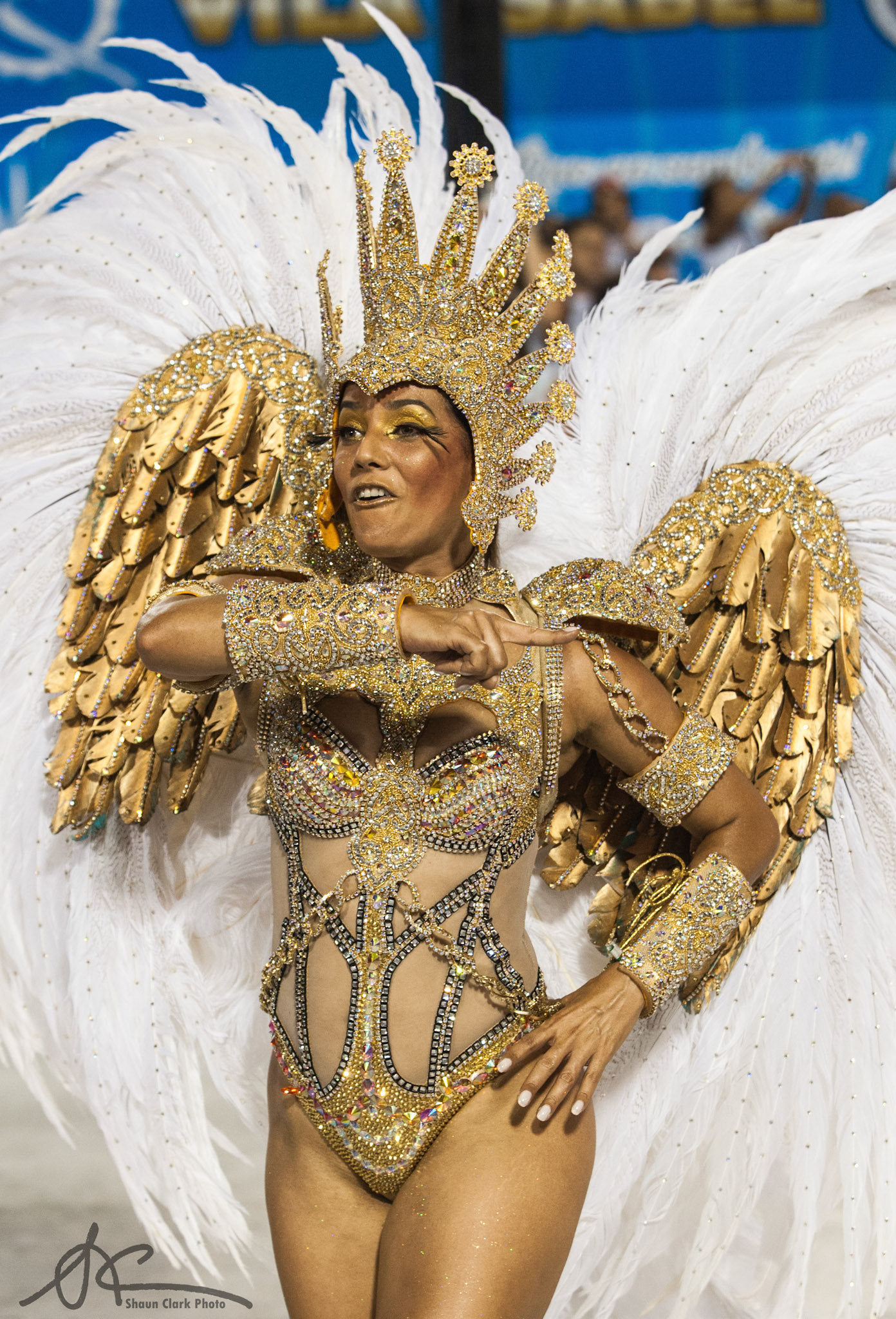 Rio De Janeiro, Brazil - February 2012 - Carnival