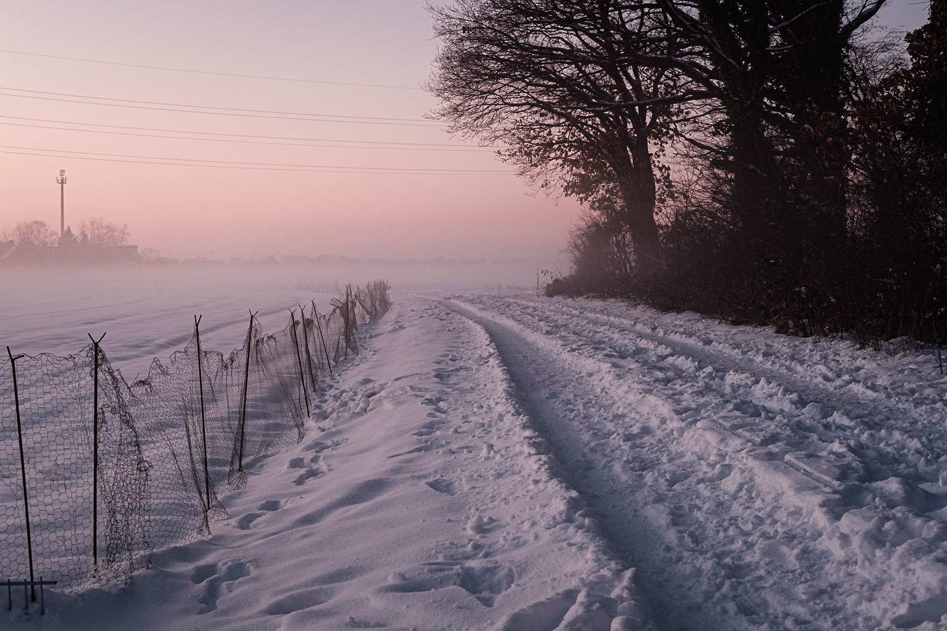 Winter am Friesheimer Busch
