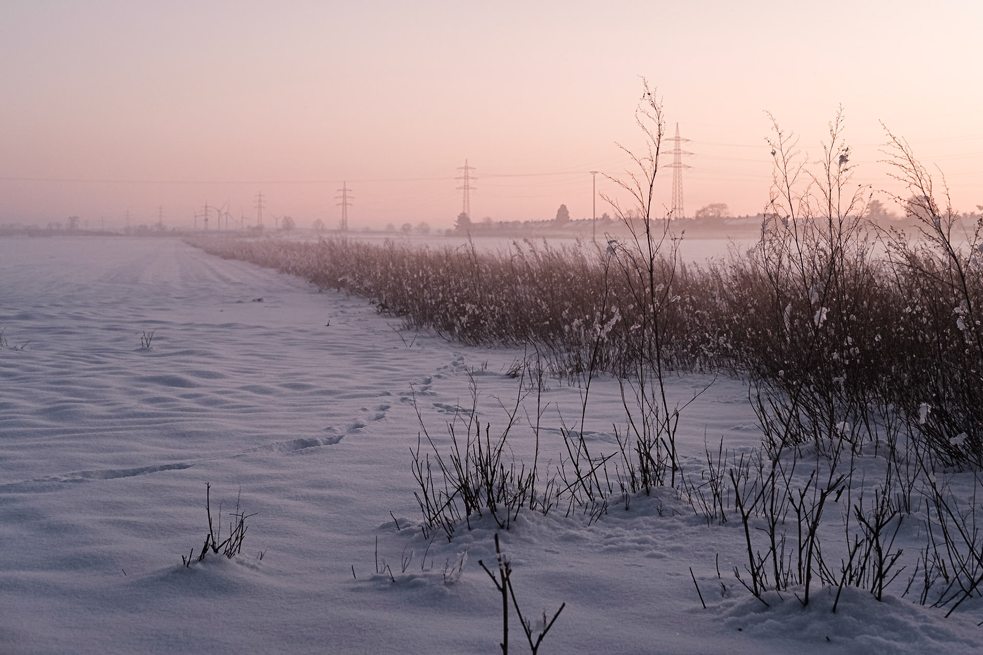 Winter am Friesheimer Busch