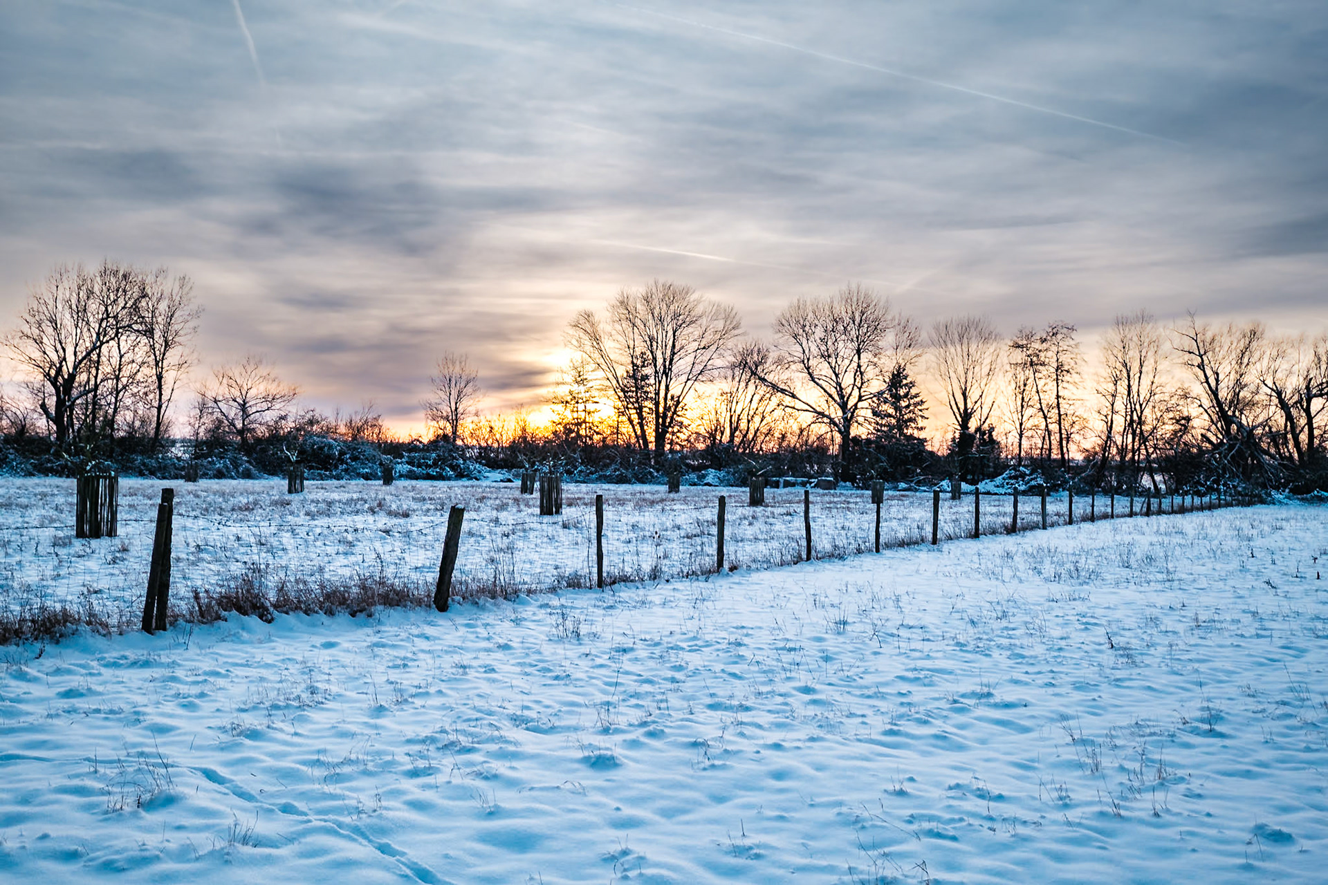 Winterfelder