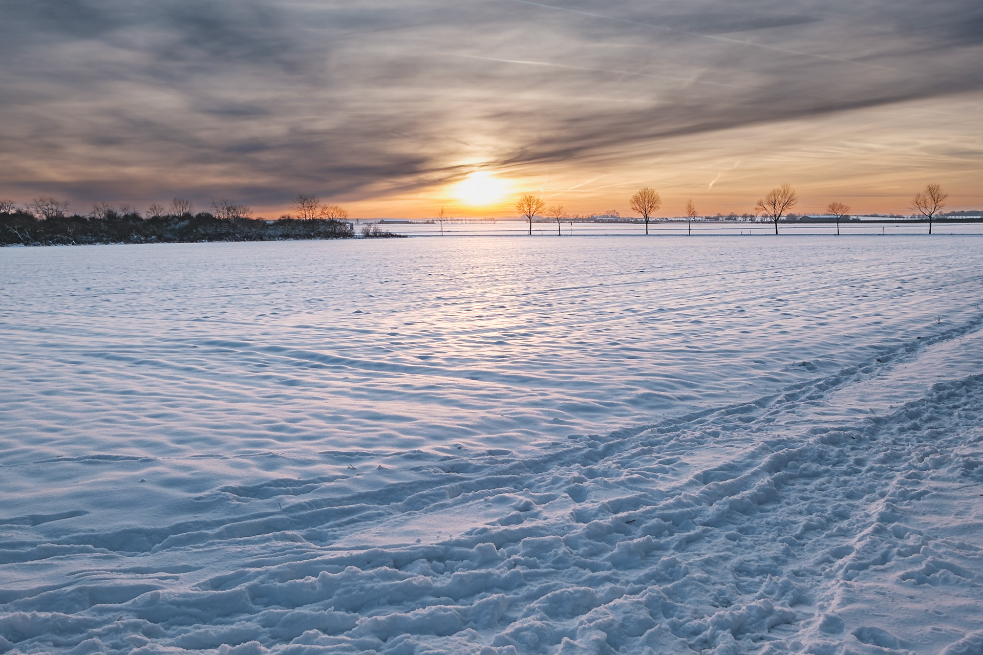 Winterfelder