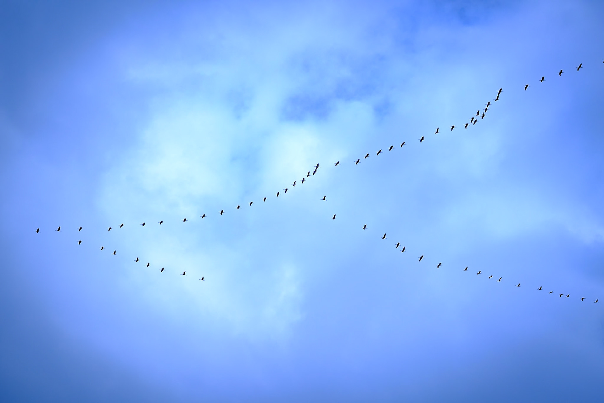 Kommt der Frühling??