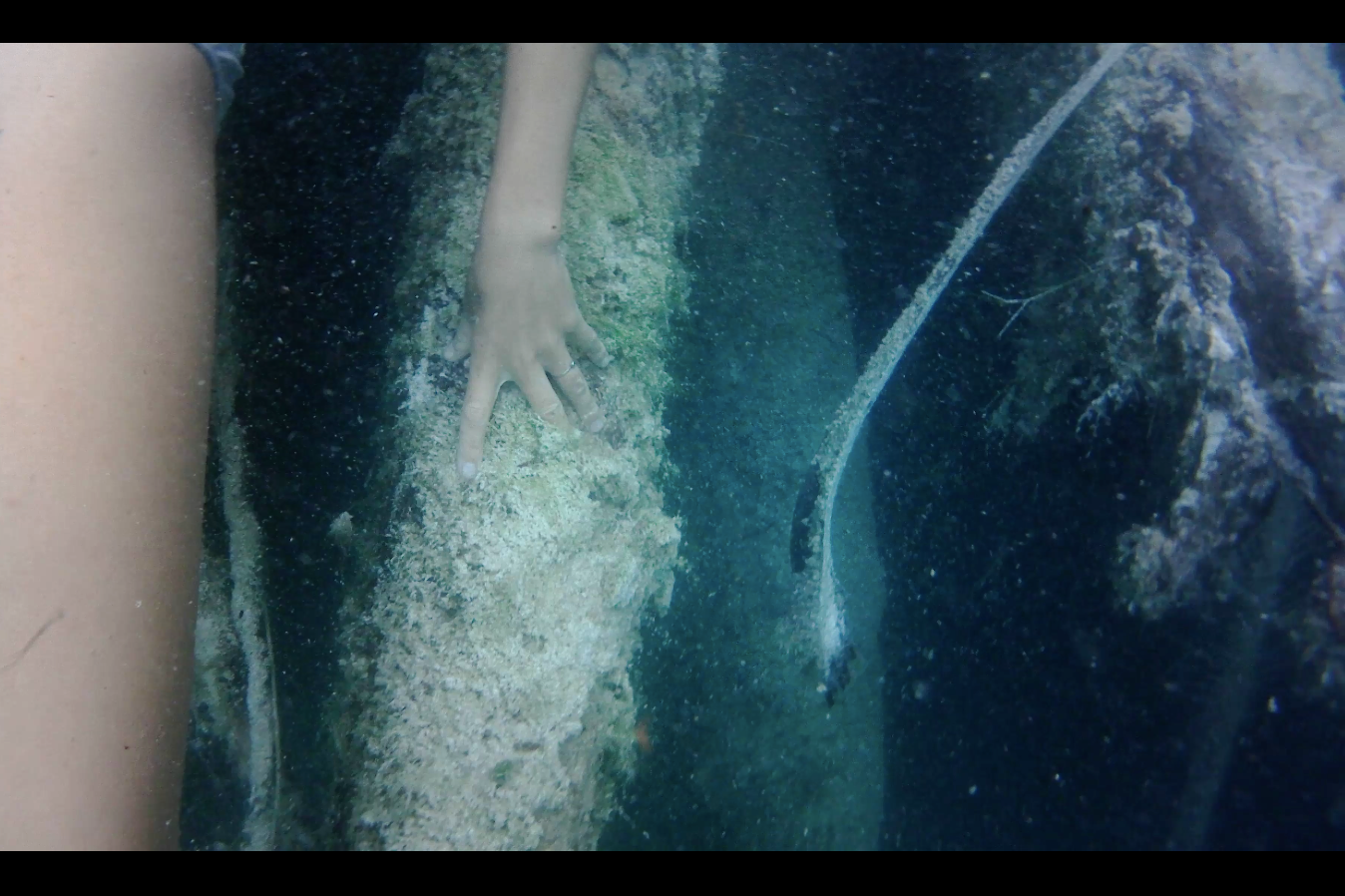 Cenote Azul