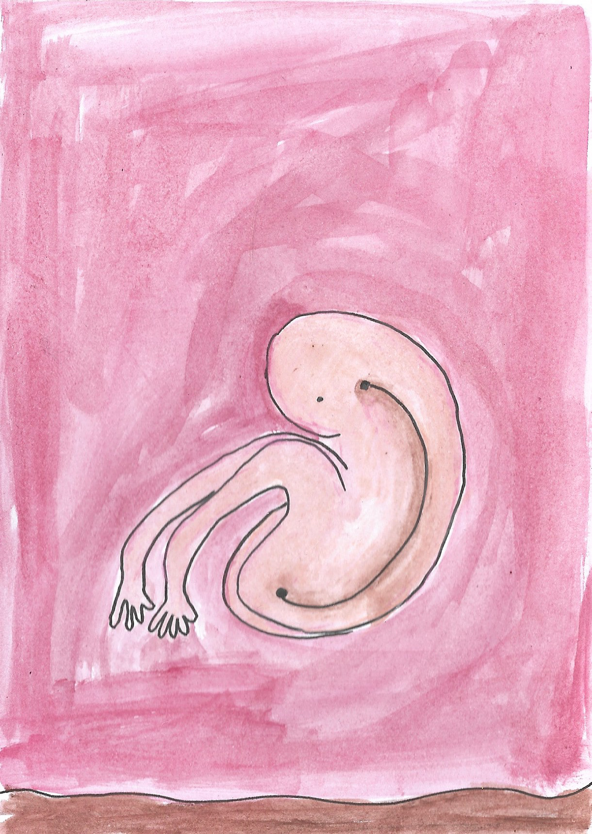 Embryo