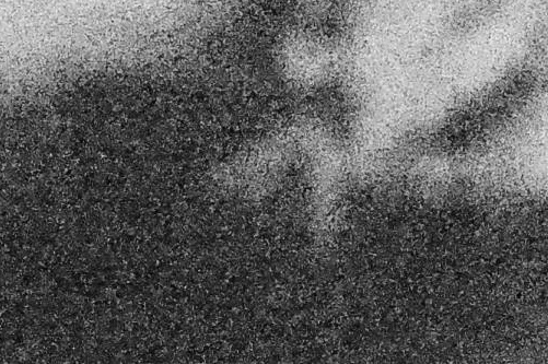 Ivon DePol (Student-Spazio Labo)