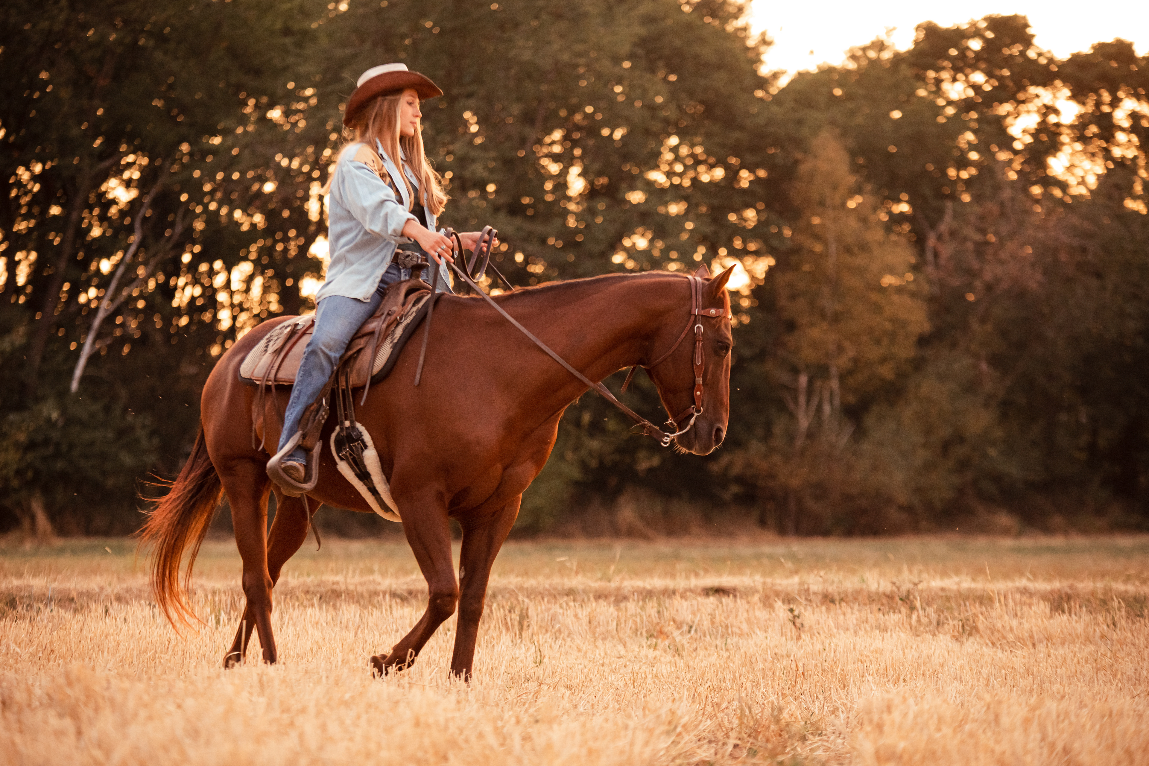 Pferdeshooting, Westernshooting, Pferd, Pferdefotografie, Tierfotografie, Western, Reitfotos, Cowgirl, Cowboy, Sonnenuntergang, Koblenz, Neuwied, Andernach, Fotografin Andernach, Fotografin Koblenz, Tierfotografin, Pferdefotografin