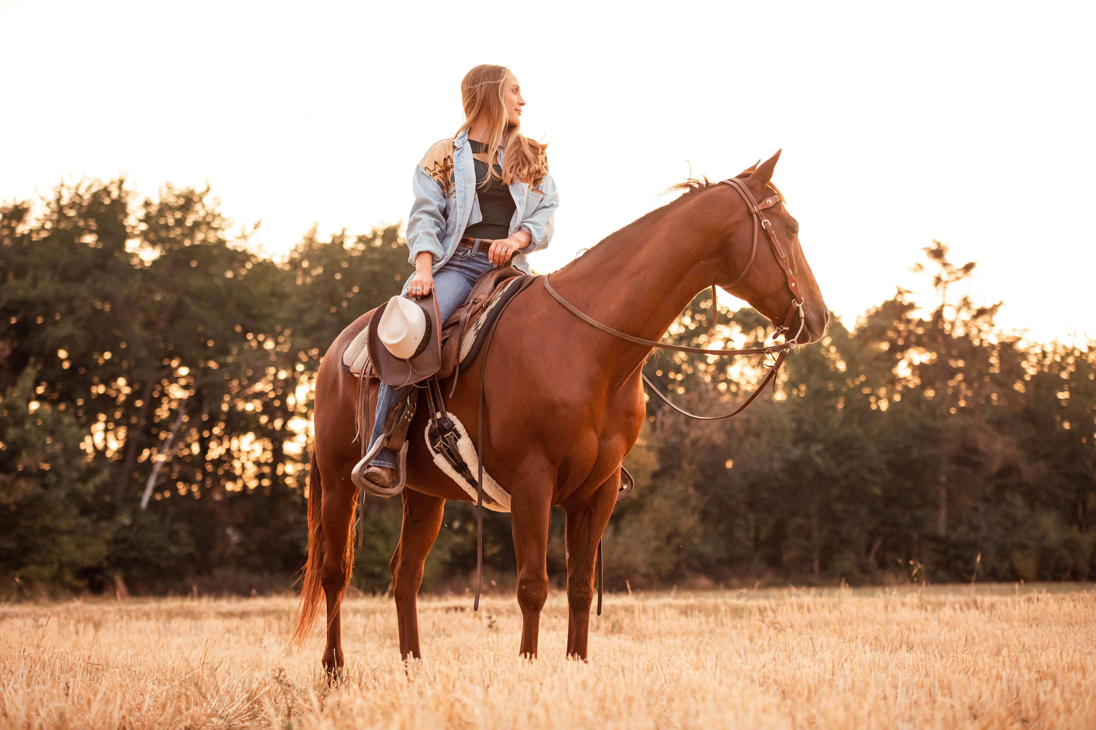 Pferdeshooting, Westernshooting, Pferd, Pferdefotografie, Tierfotografie, Western, Reitfotos, Cowgirl, Cowboy, Sonnenuntergang, Koblenz, Neuwied, Andernach, Fotografin Andernach, Fotografin Koblenz, Tierfotografin, Pferdefotografin