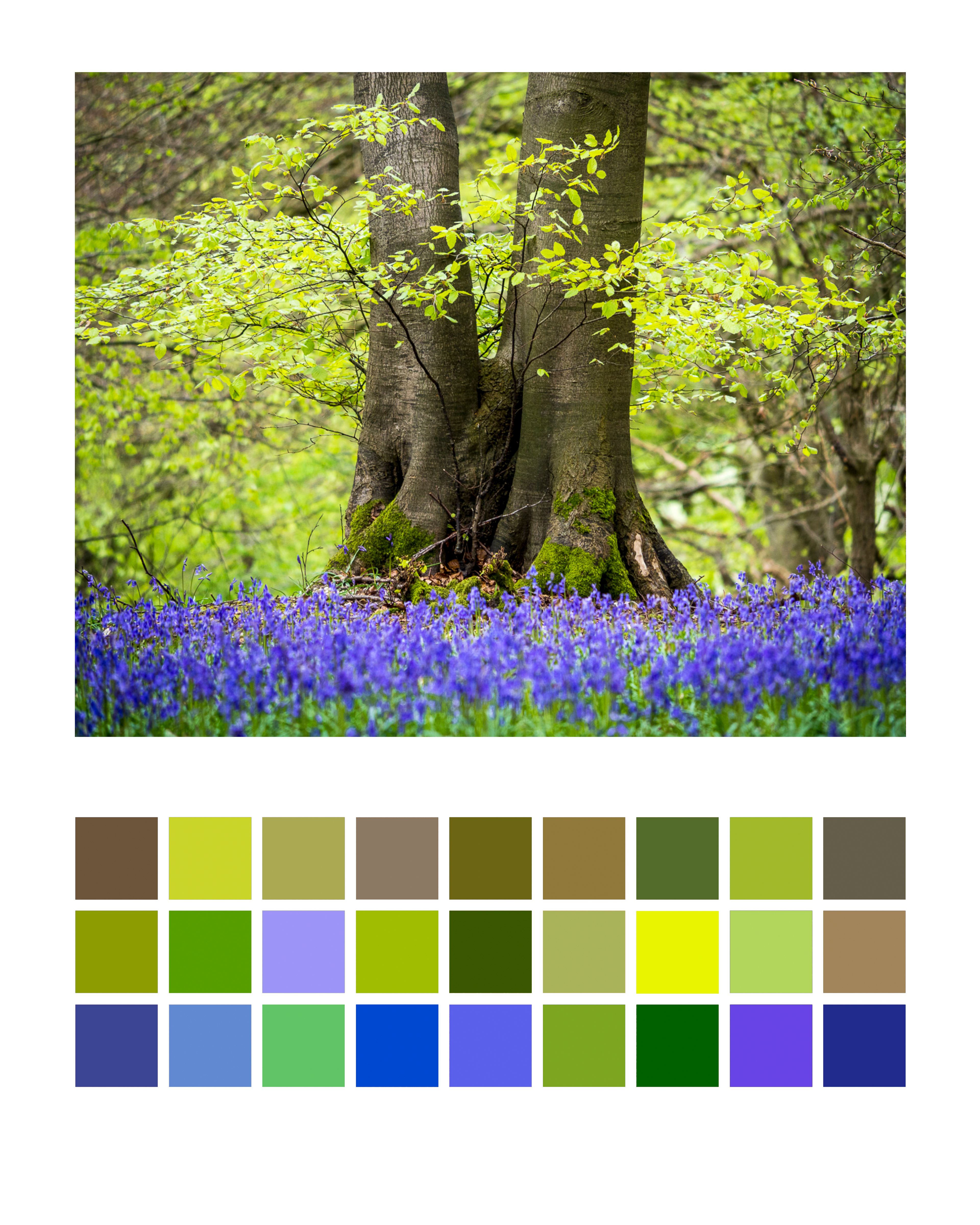 Spring