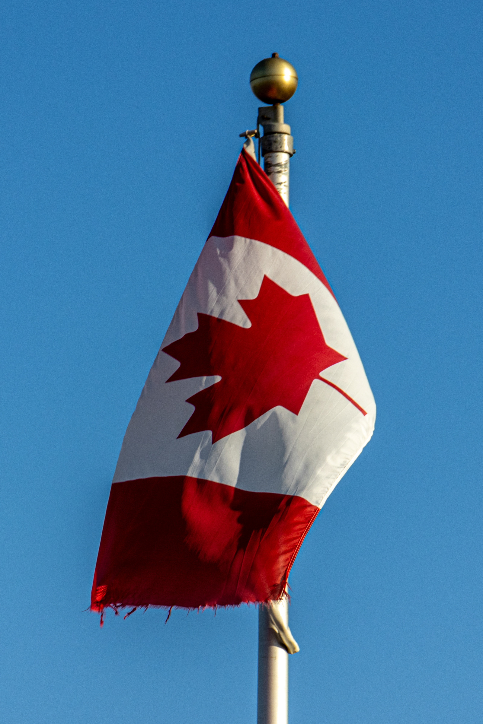 But proudly Canadian