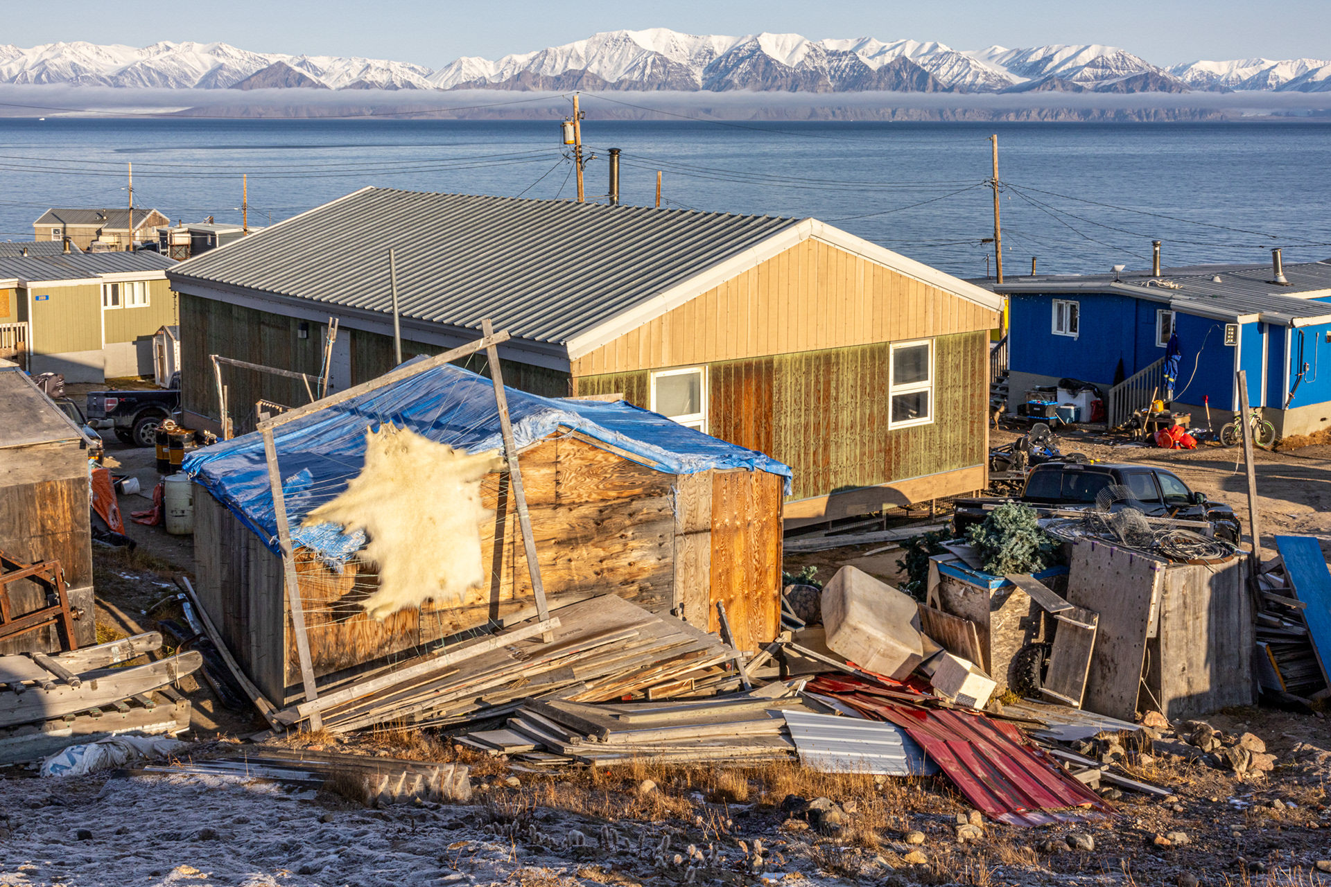 Sadly the first polar bear we saw was a skin hanging out to cure