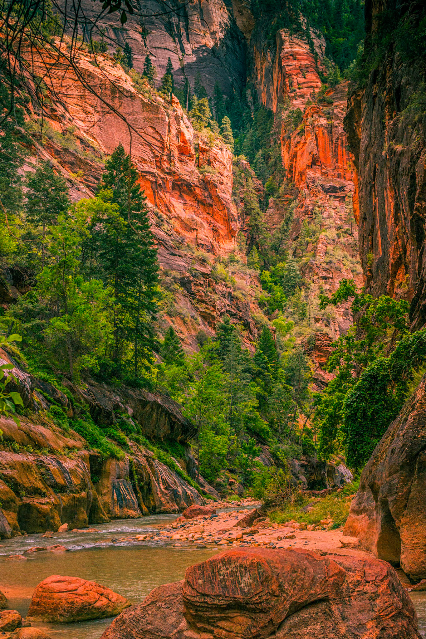 Canyon Shadows