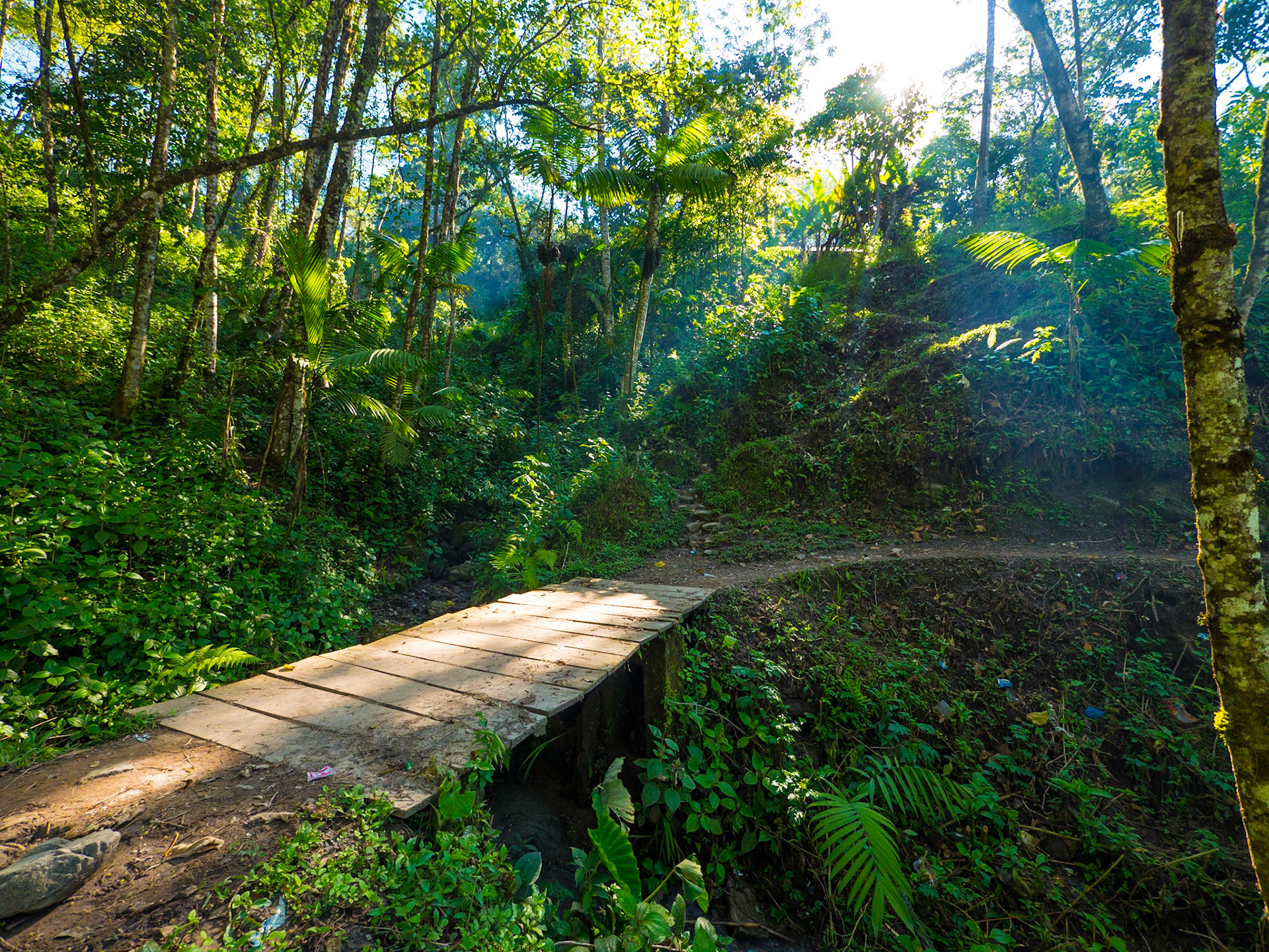 Village Bridge