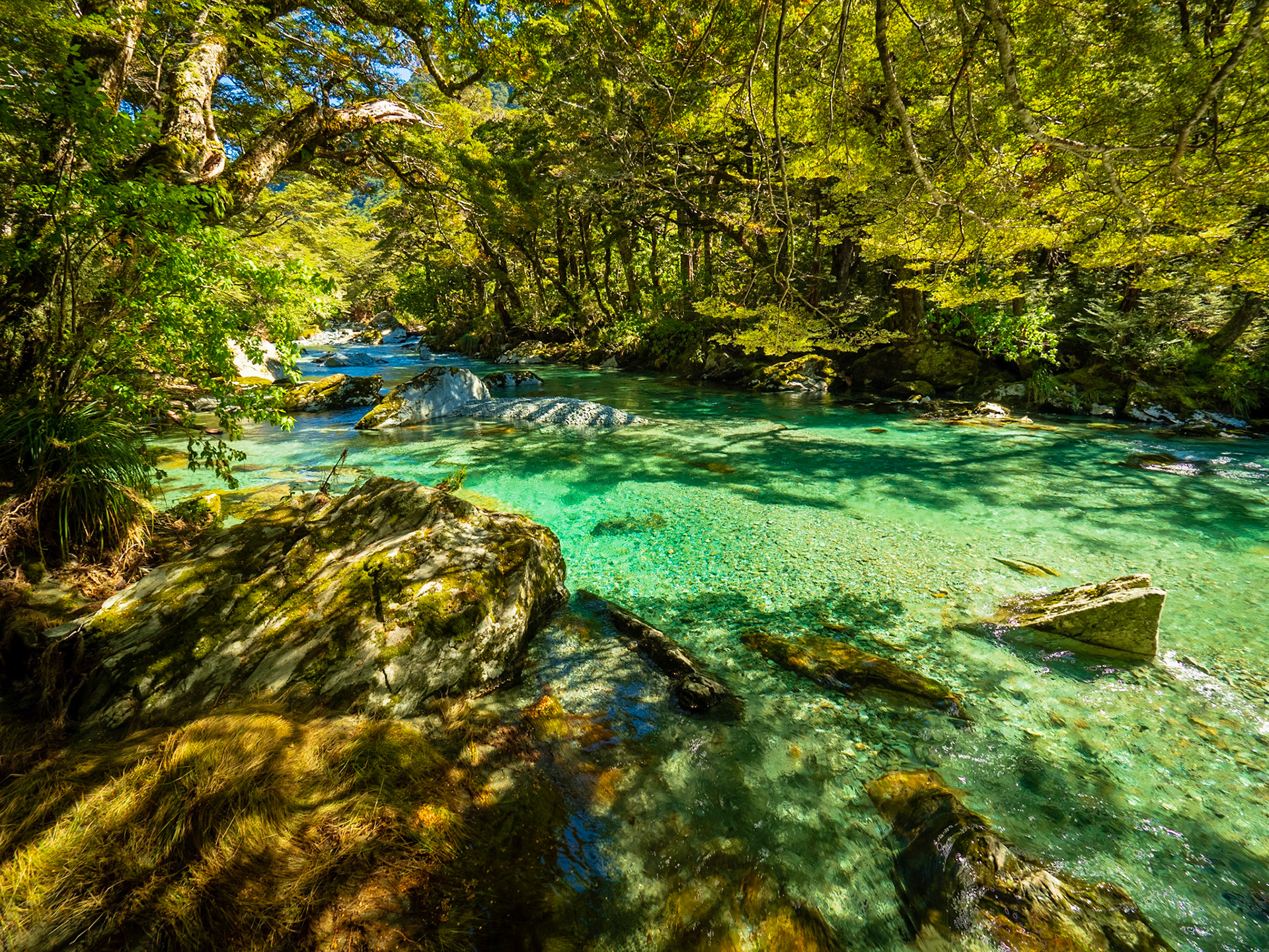 Te awa o Glacial (Glacial River) 2
