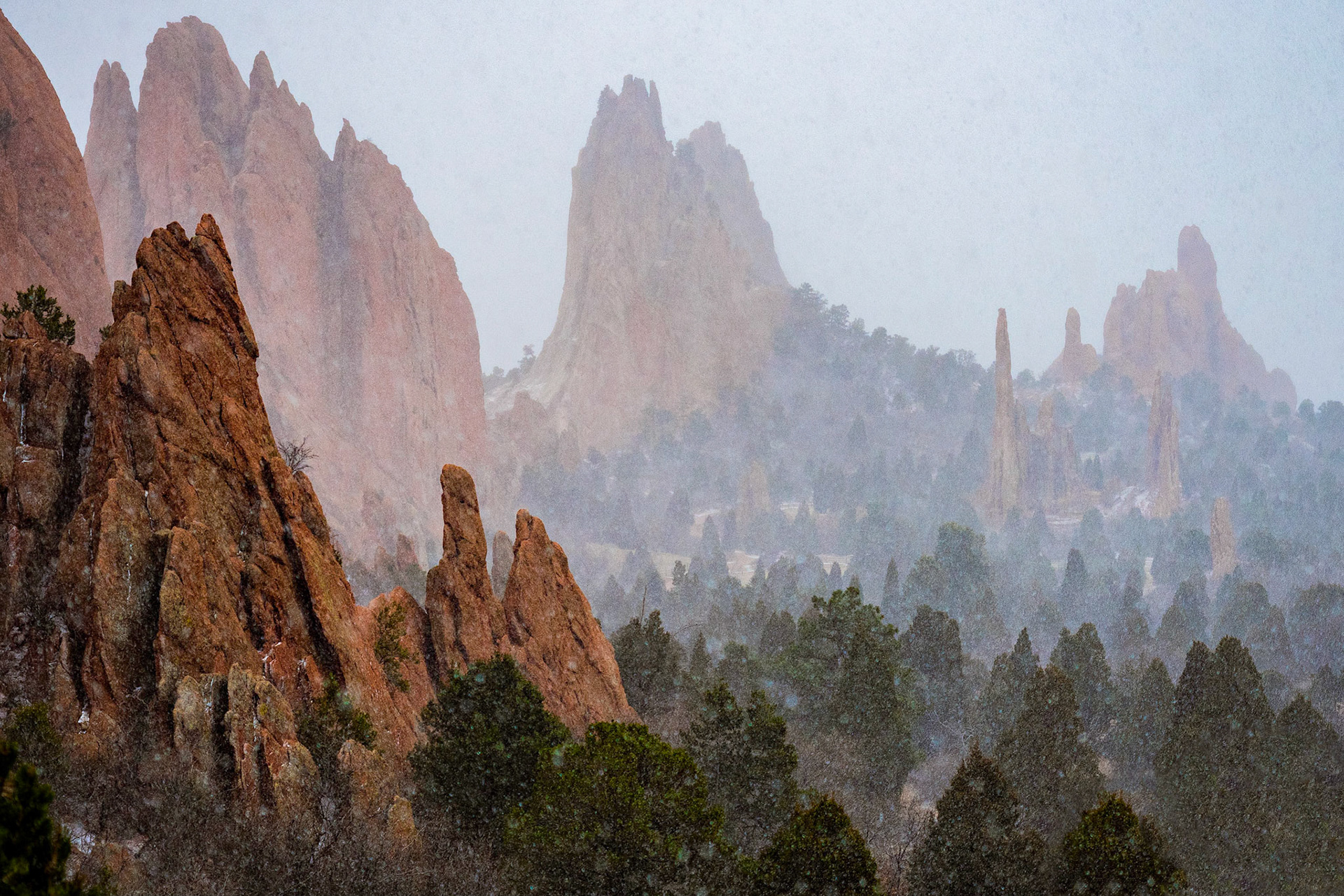 Desert Snow