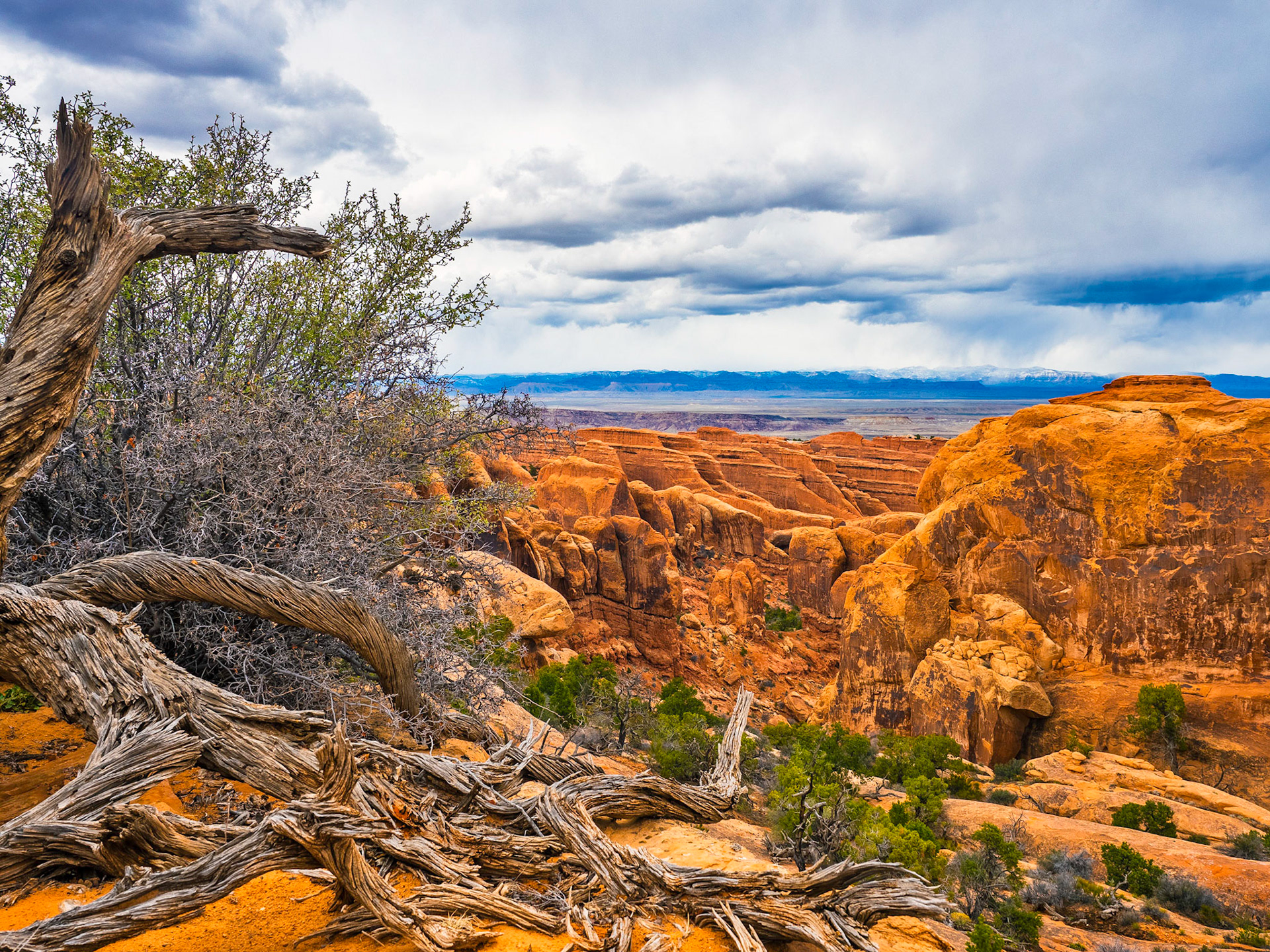 Canyons