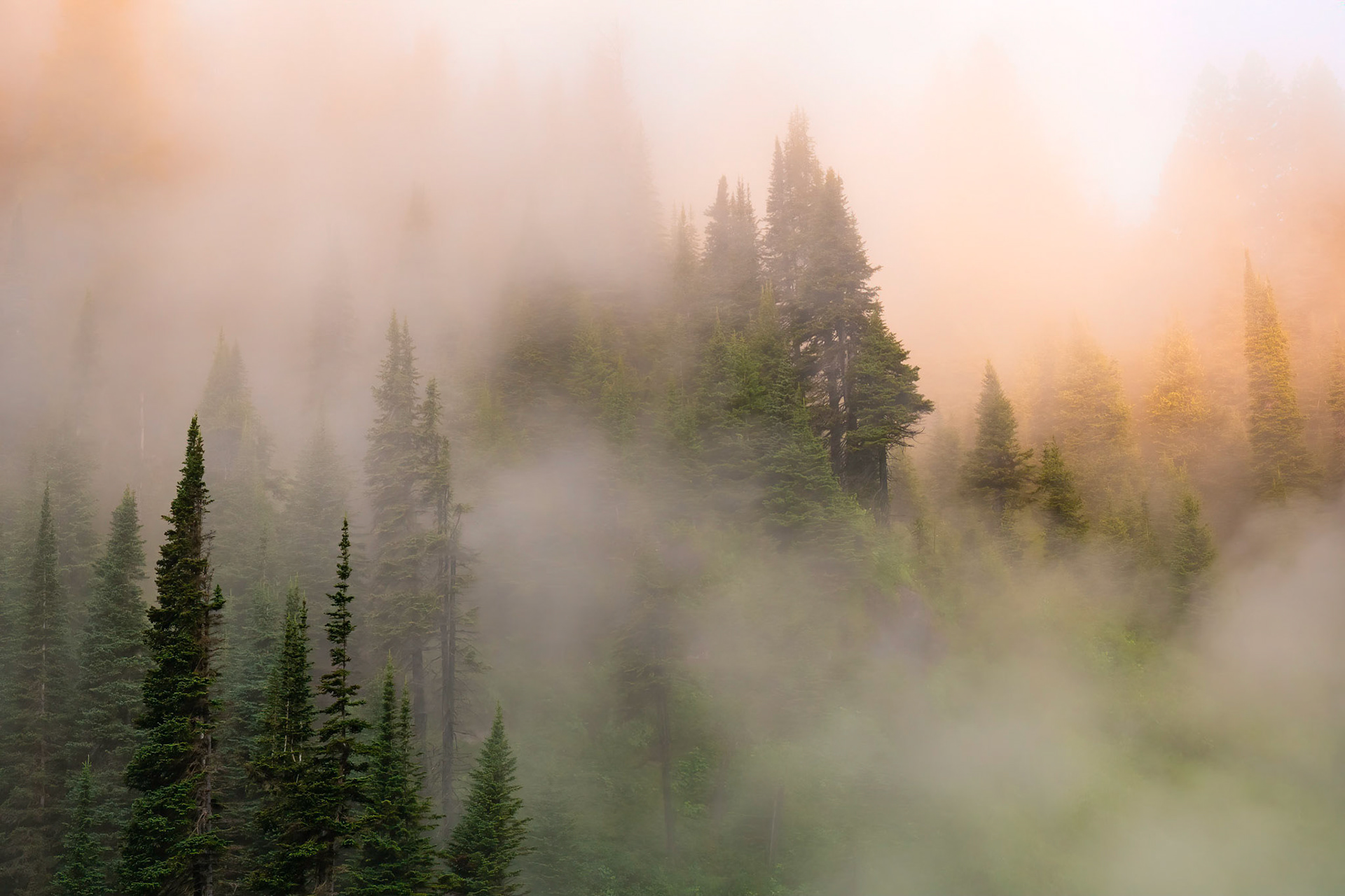 During a surprise music video shoot (for an instrumental piece my mother wrote) (Check it out here: XXXXXX ) I looked up to notice the steam rising from the falls into the trees on the mountain side. And just like I thought - not minutes later, the sunrise lit it up like fire in the night.