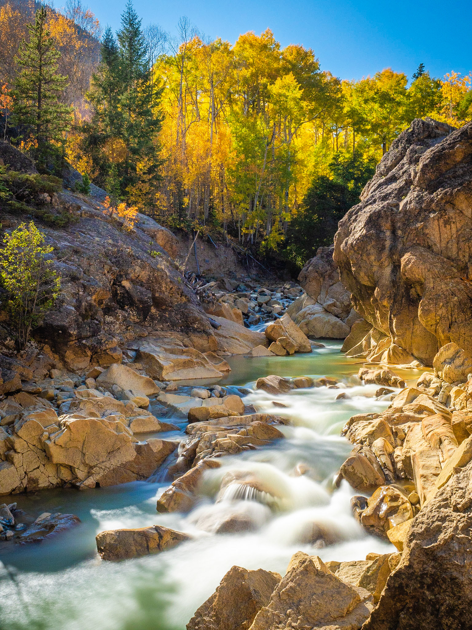 Autumn River