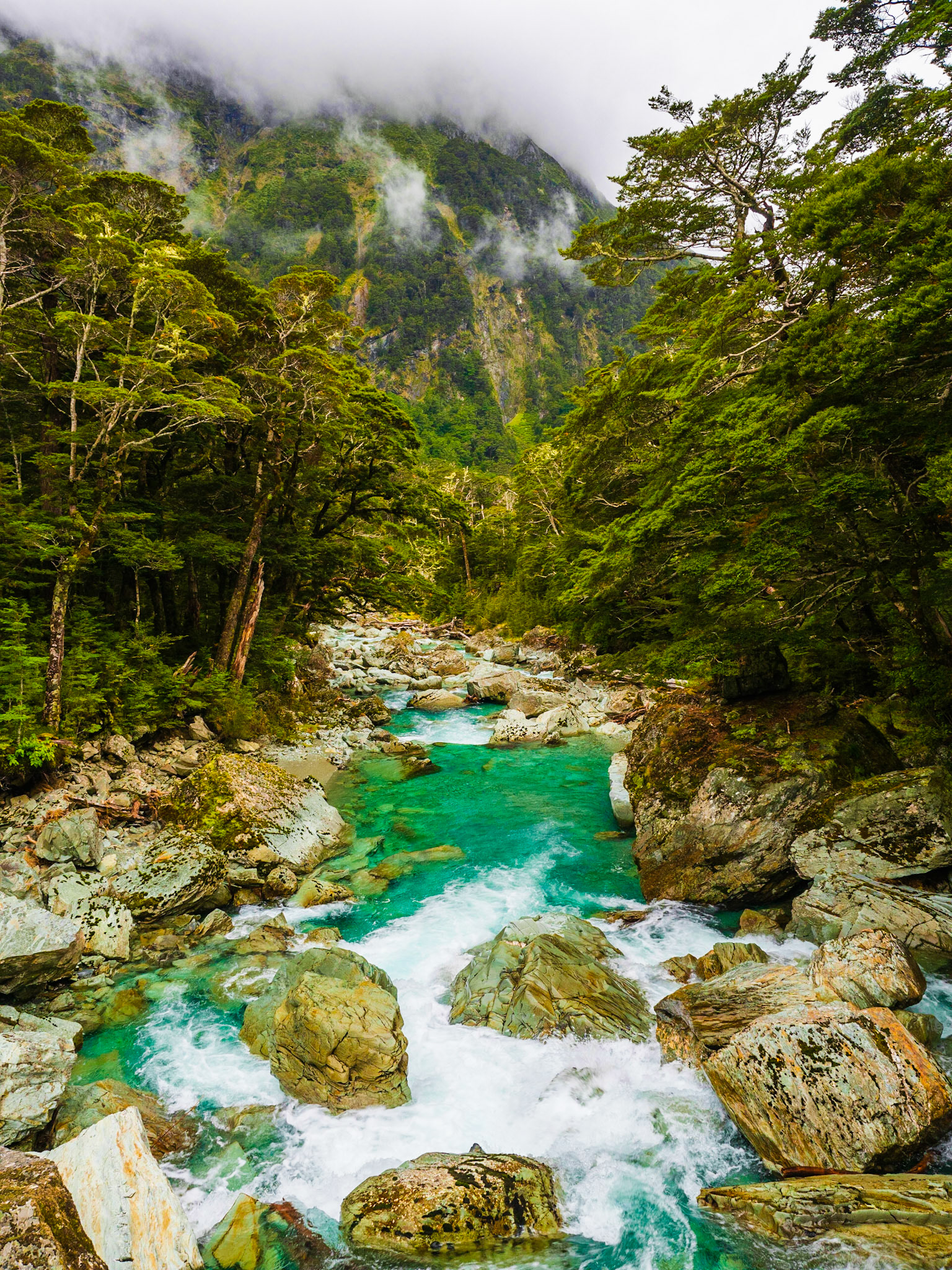River from the Bridge