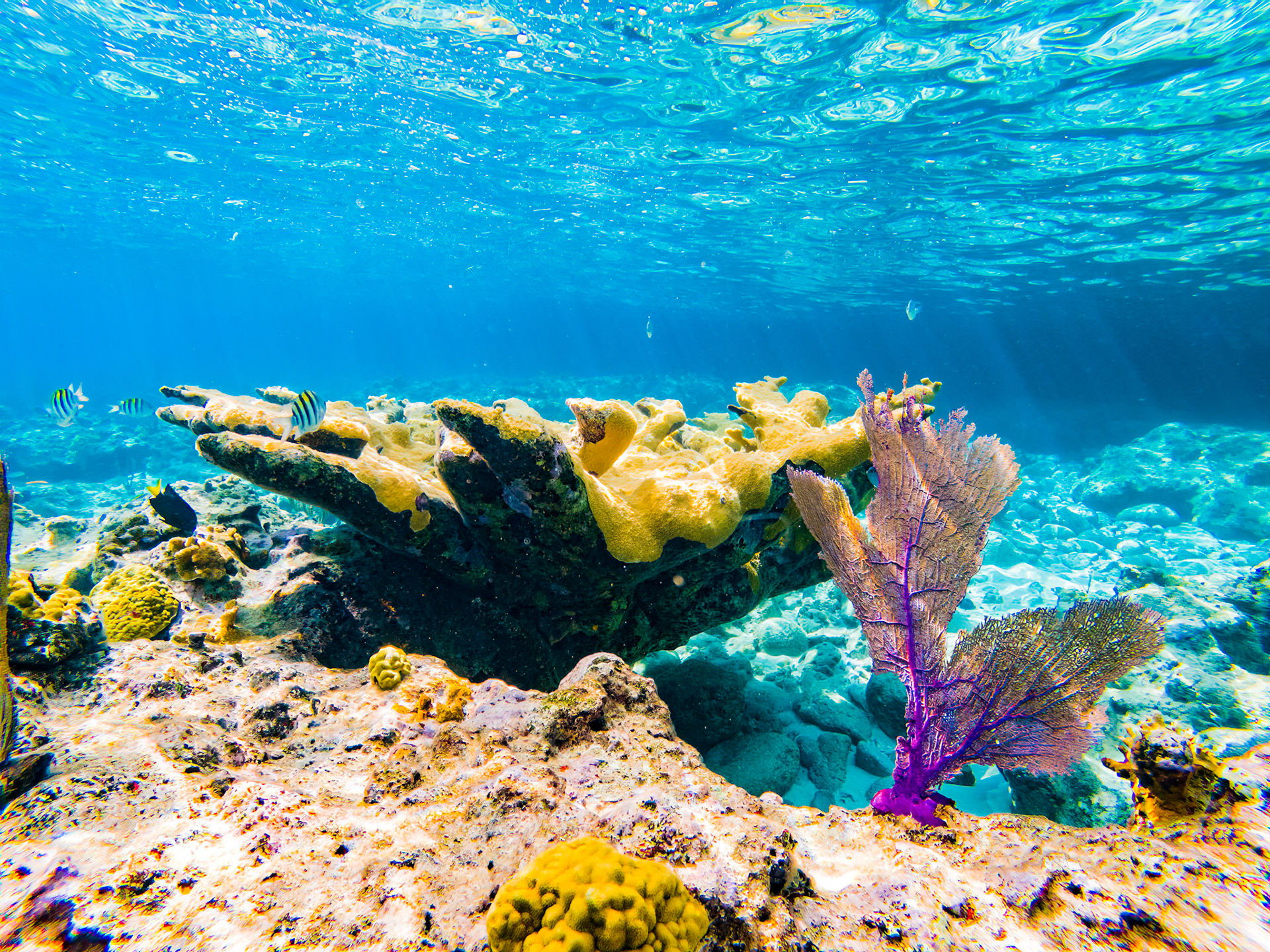 C:\DCIM\100GOPRO\GOPR1016.GPR