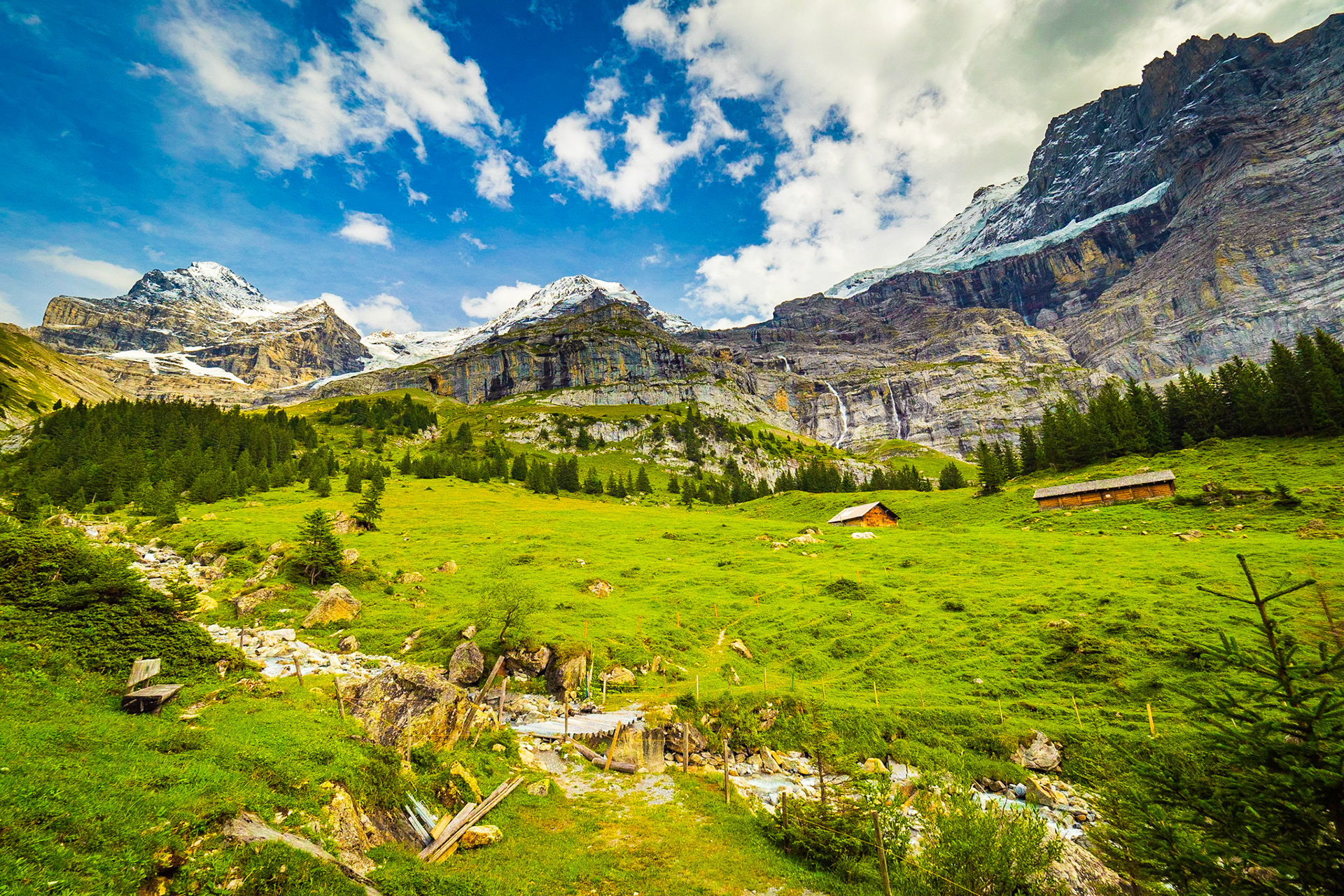 Bergweiden (Mountain Pastures)