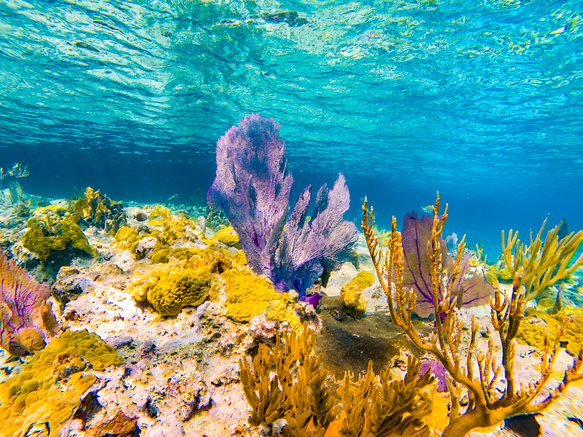 C:\DCIM\100GOPRO\GOPR1026.GPR