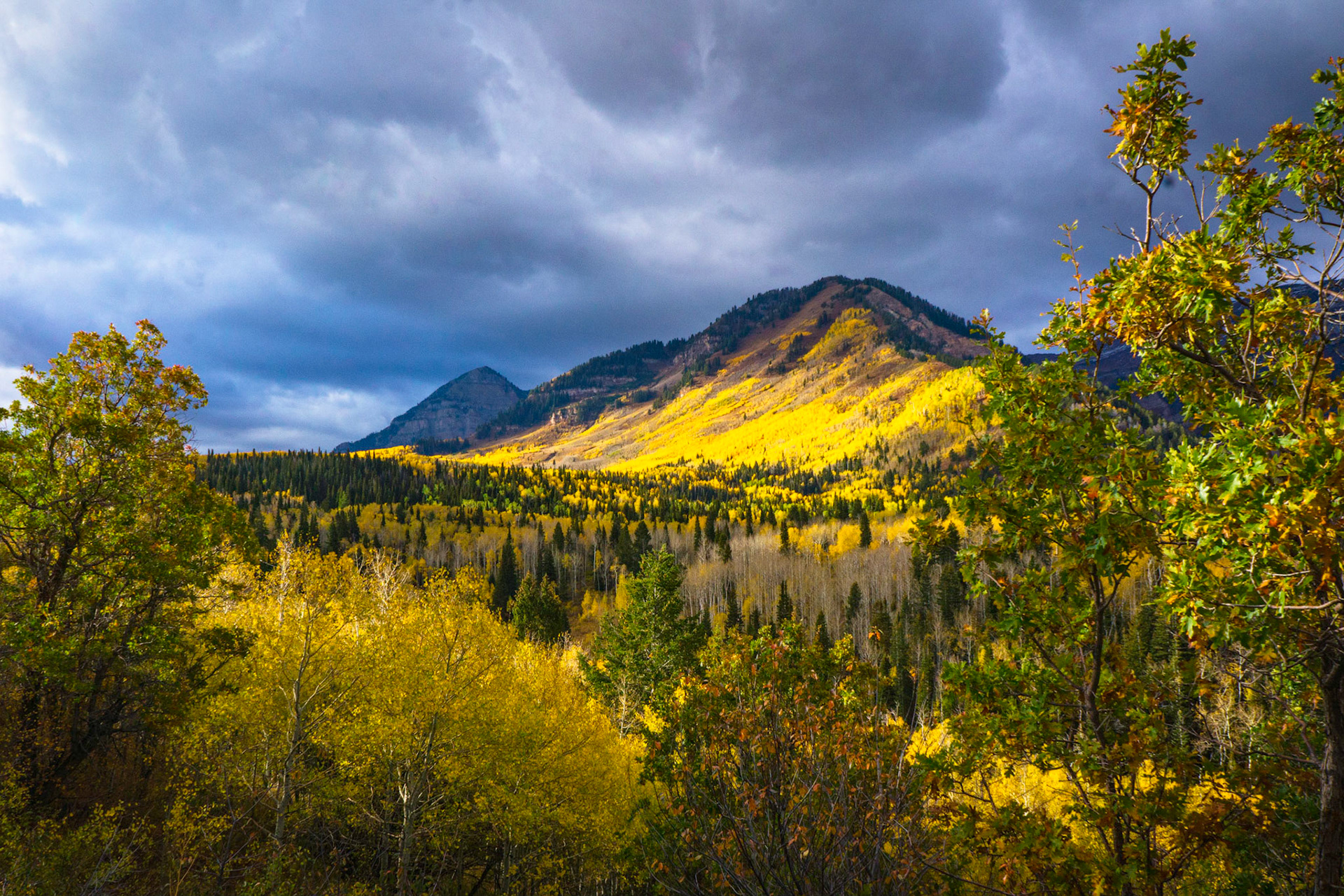 Autumn Valley View