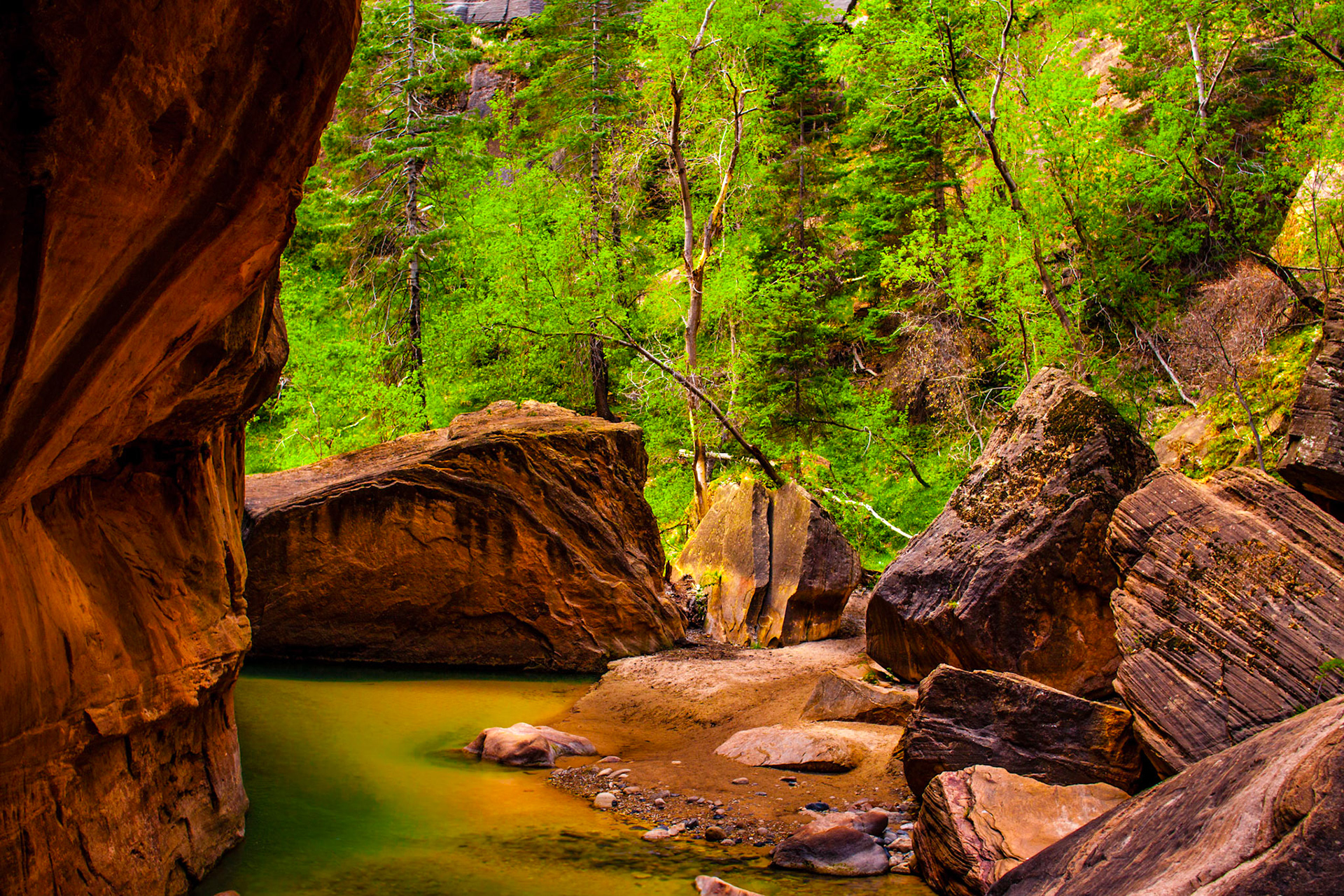 Brooks and Boulders