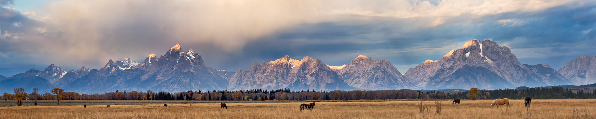 As the sun rises, even the horses stop to watch the light show.