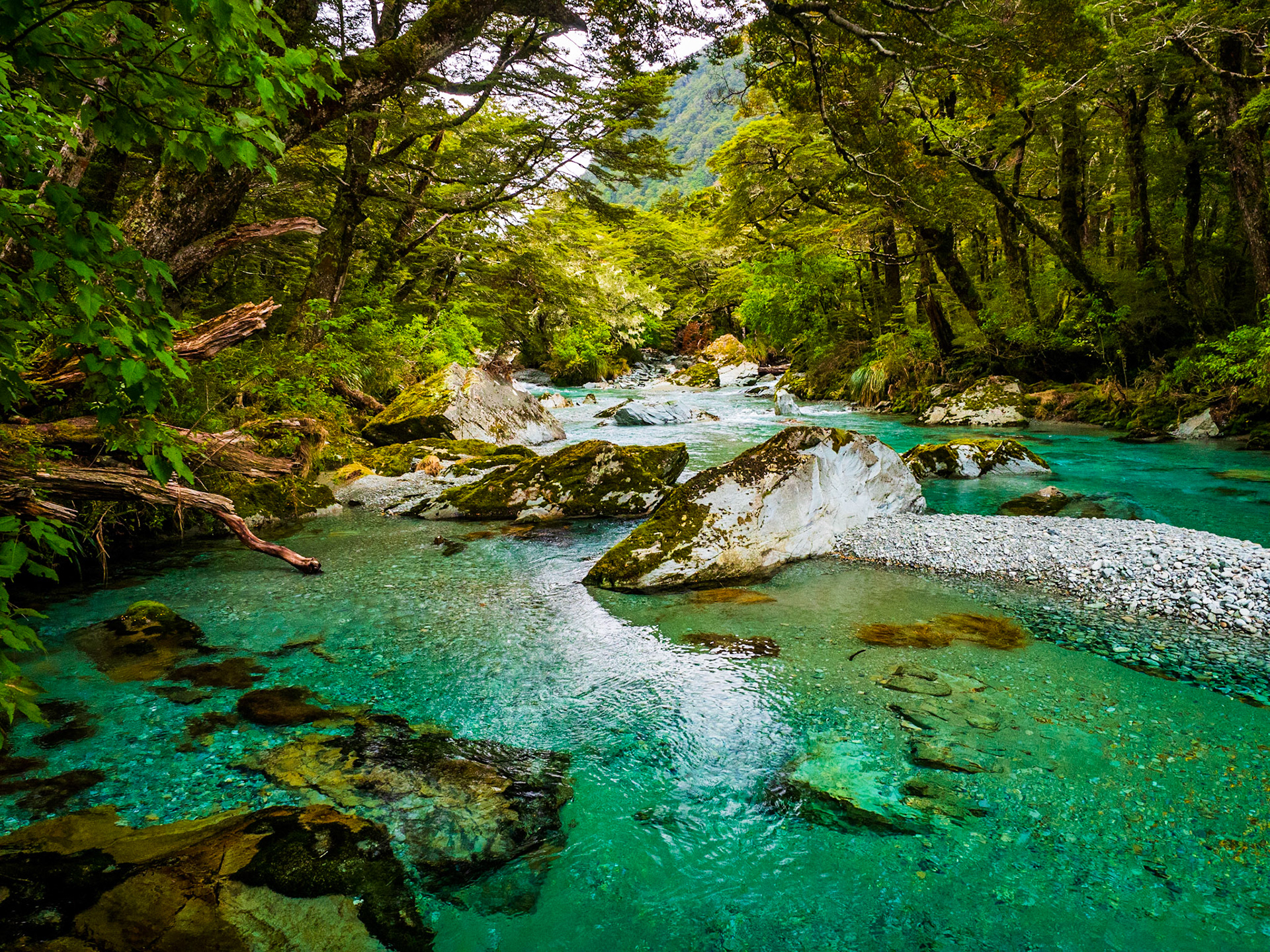 Te Awa o Glacial (Glacial River)