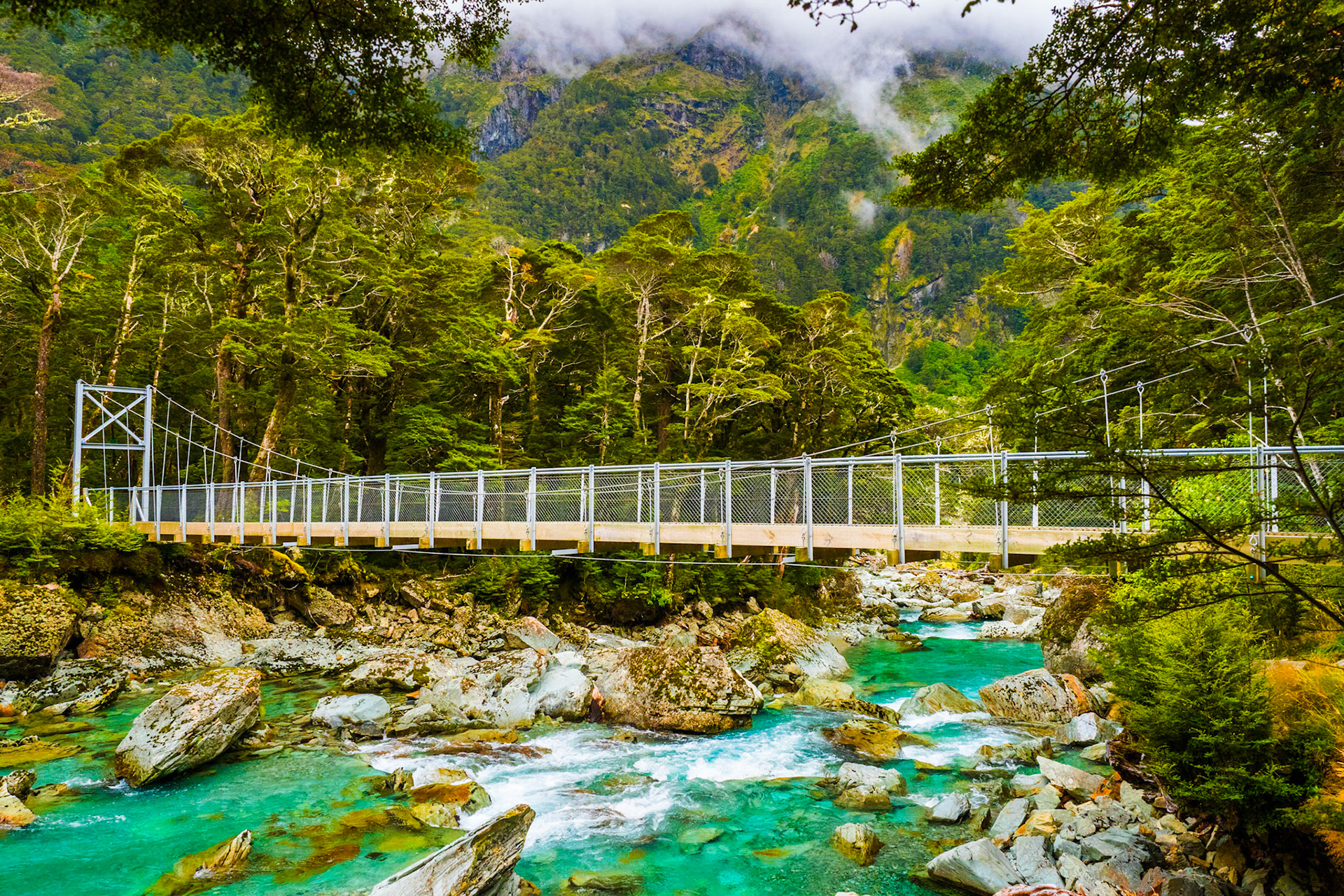 Ko te Piriti (The Bridge)