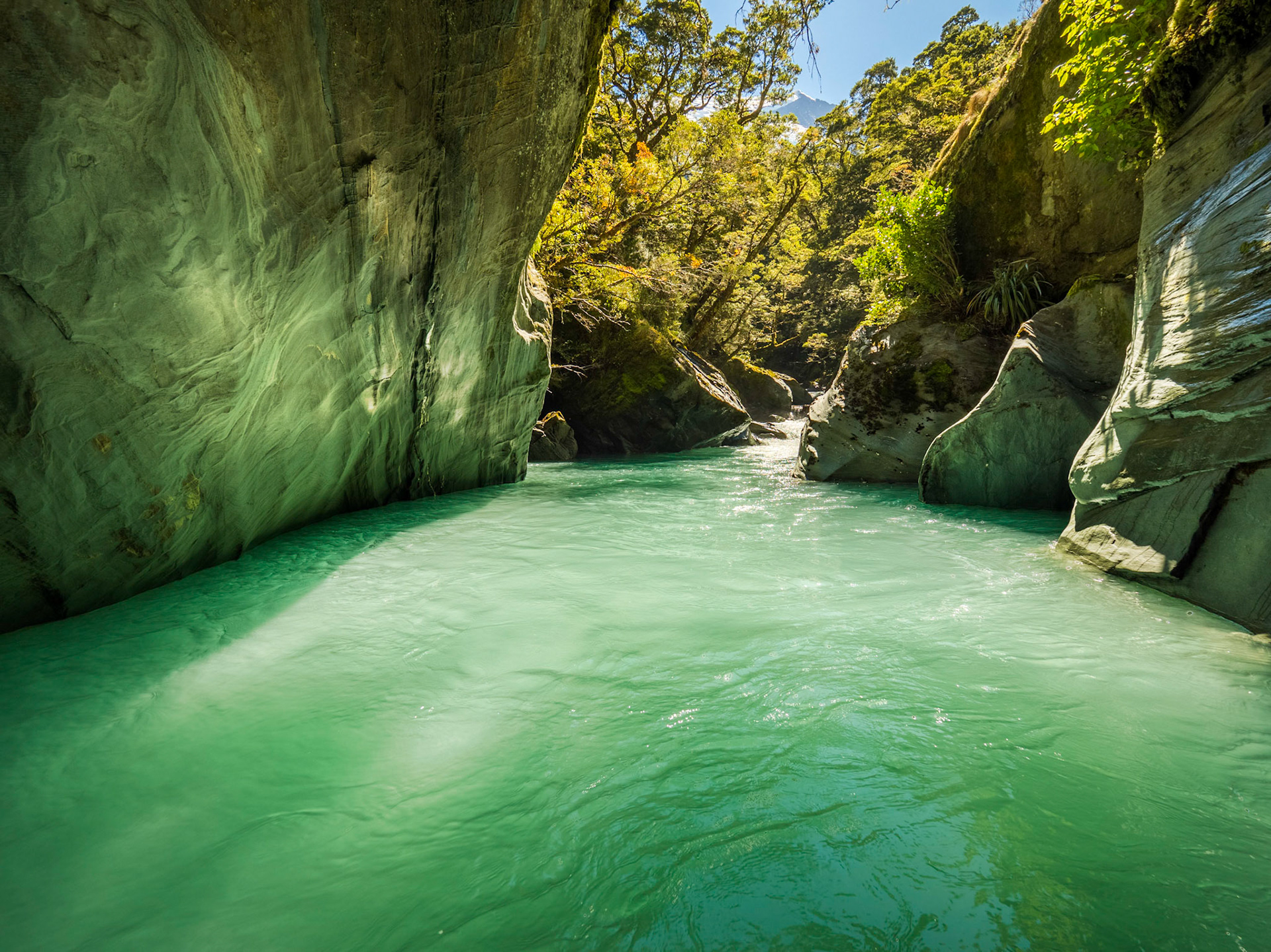 Whakaaroaro Wai (Water Reflections)