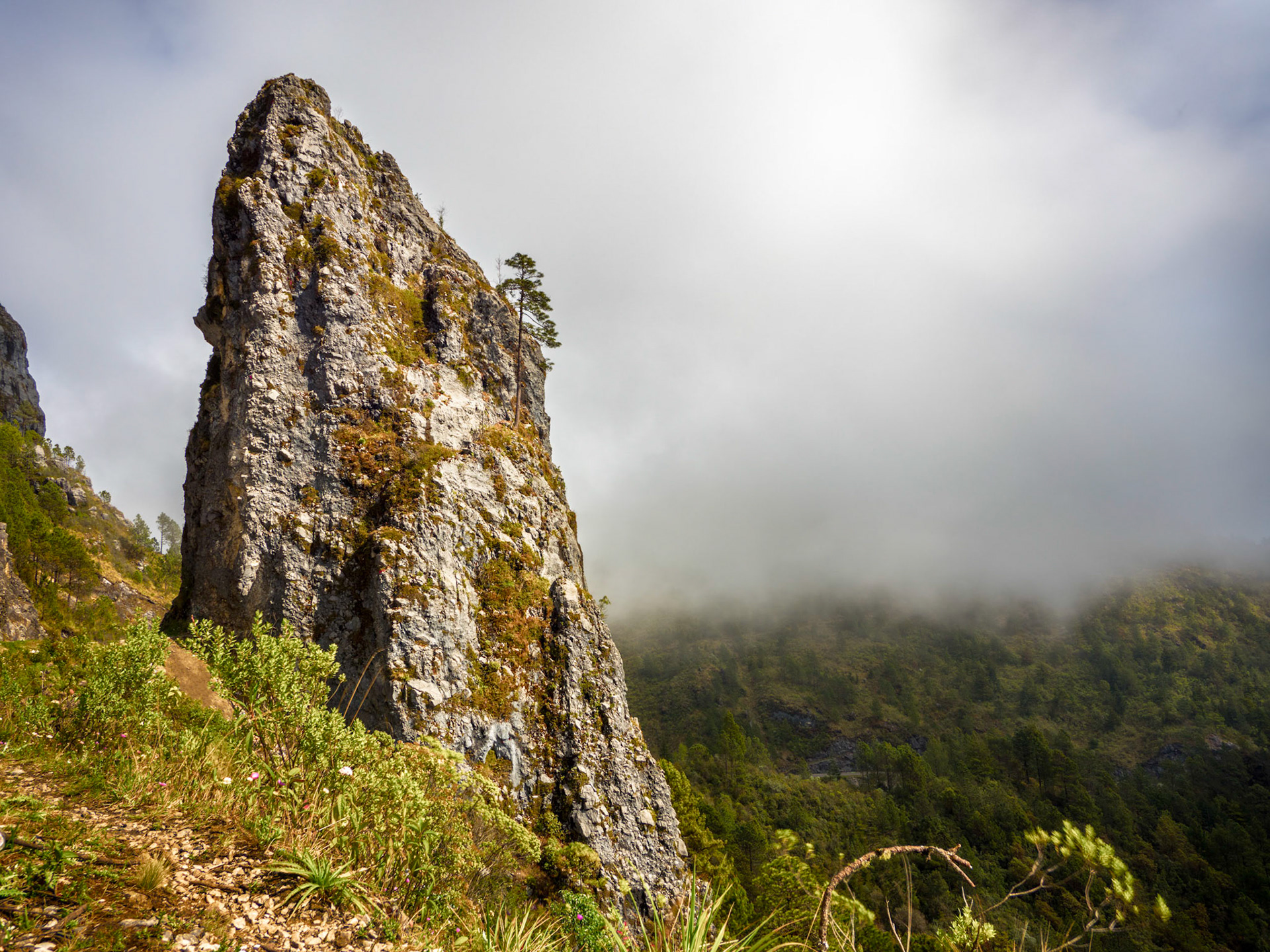 Guatemalan Pillar