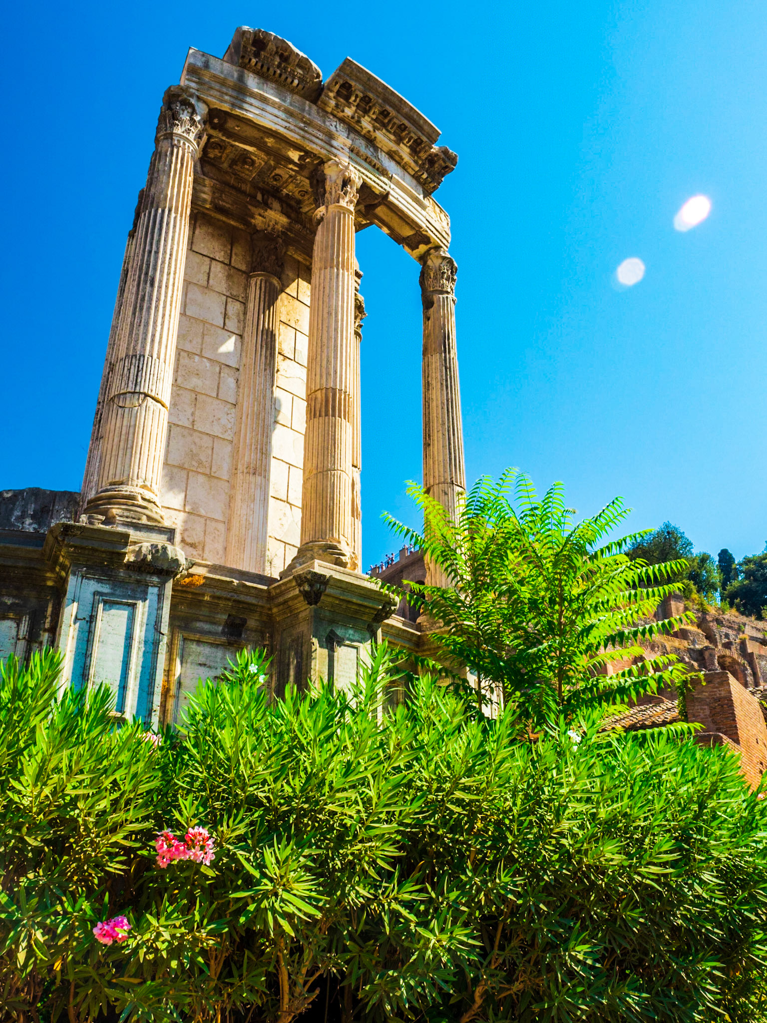 Aedes Vestae (Temple of Vesta)