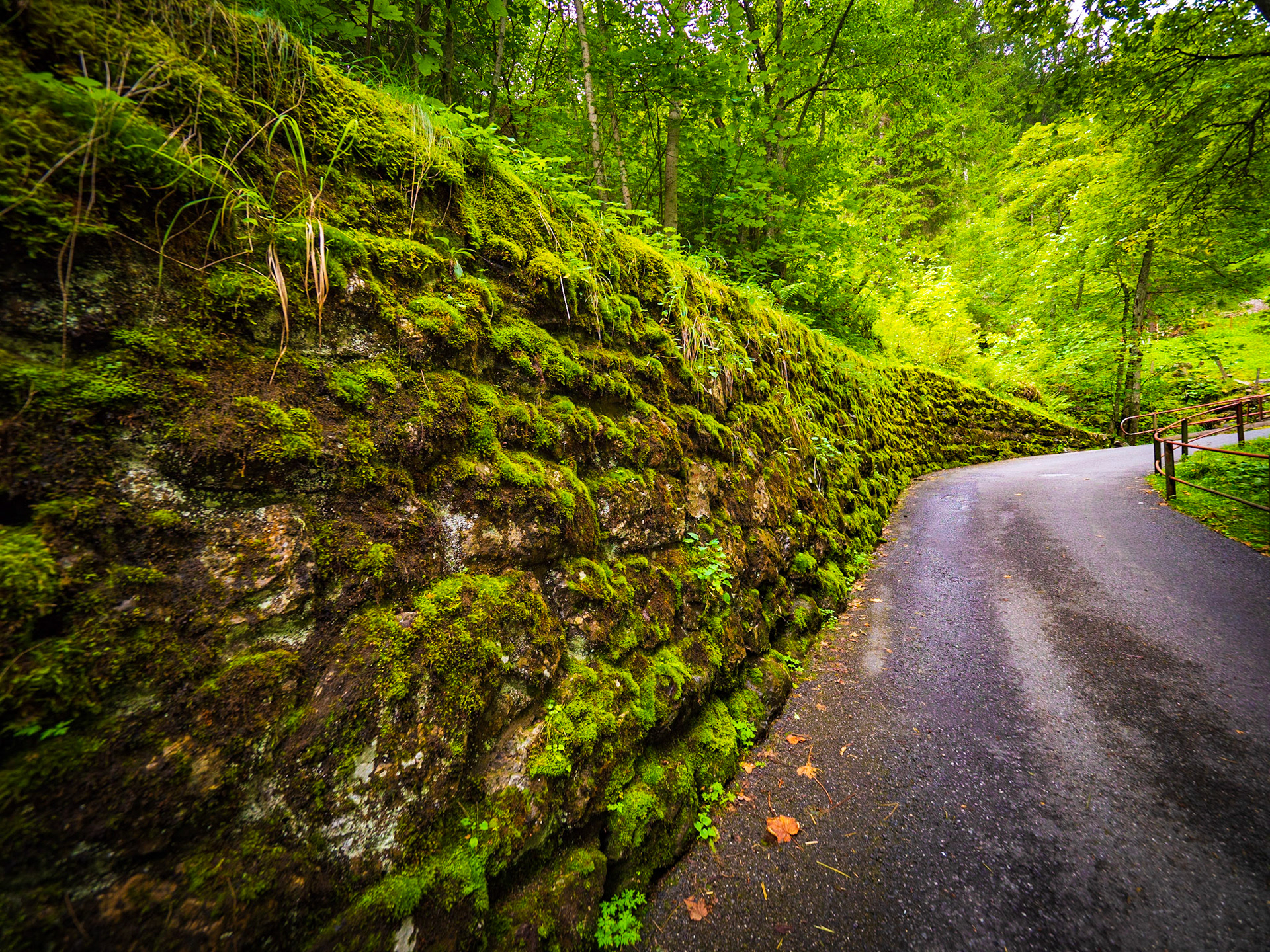 Walls and Paths