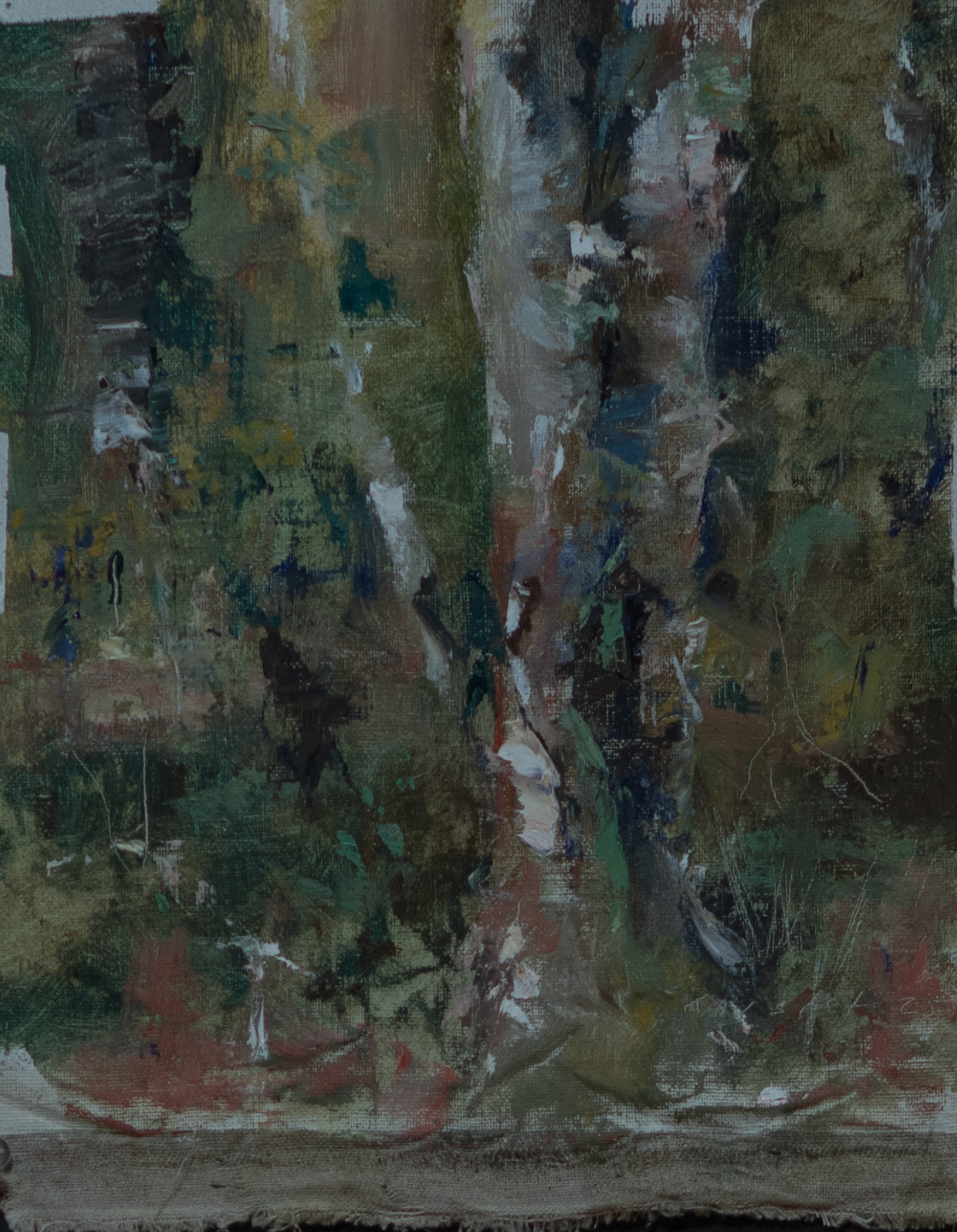 Birch Trees
